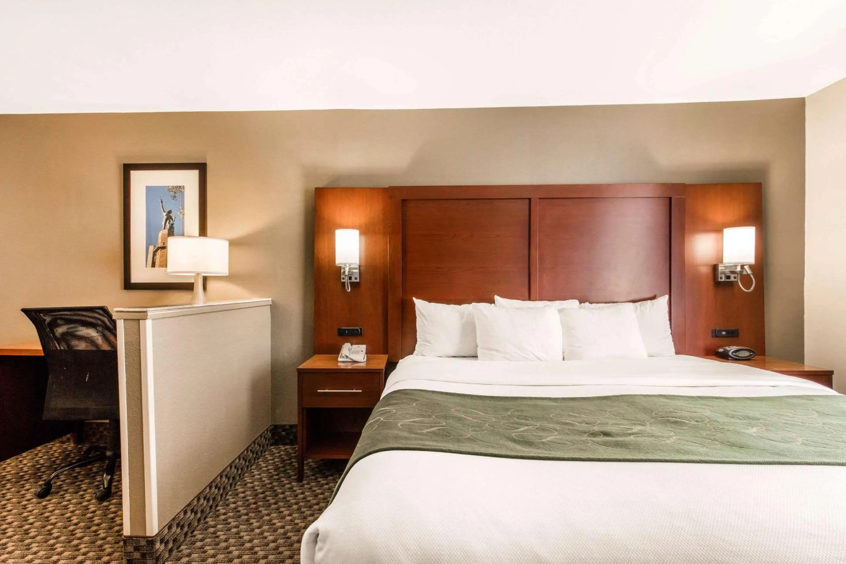 Bed in Comfort Suites Tuscaloosa near University