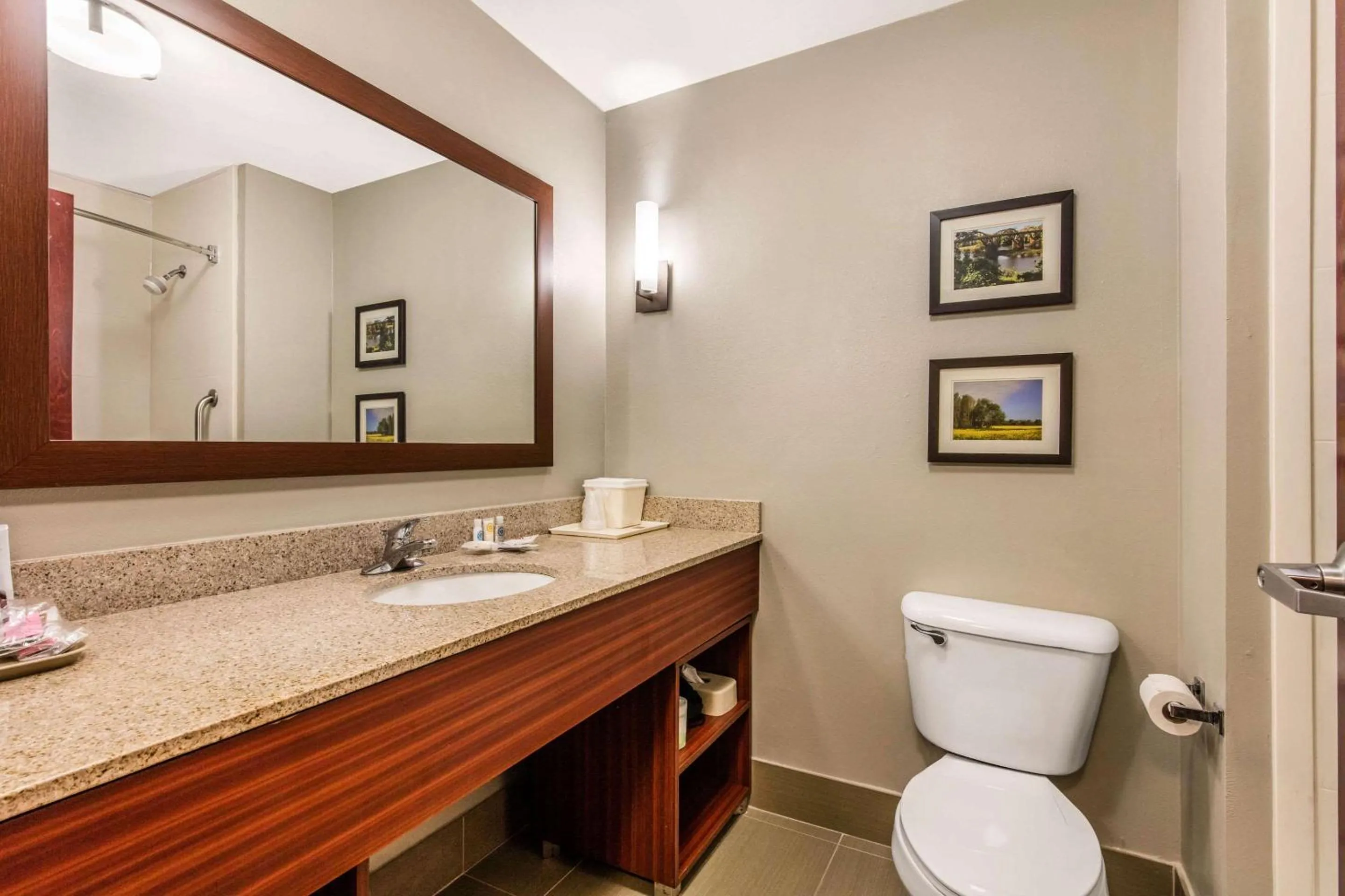 Bathroom in Comfort Suites Tuscaloosa near University