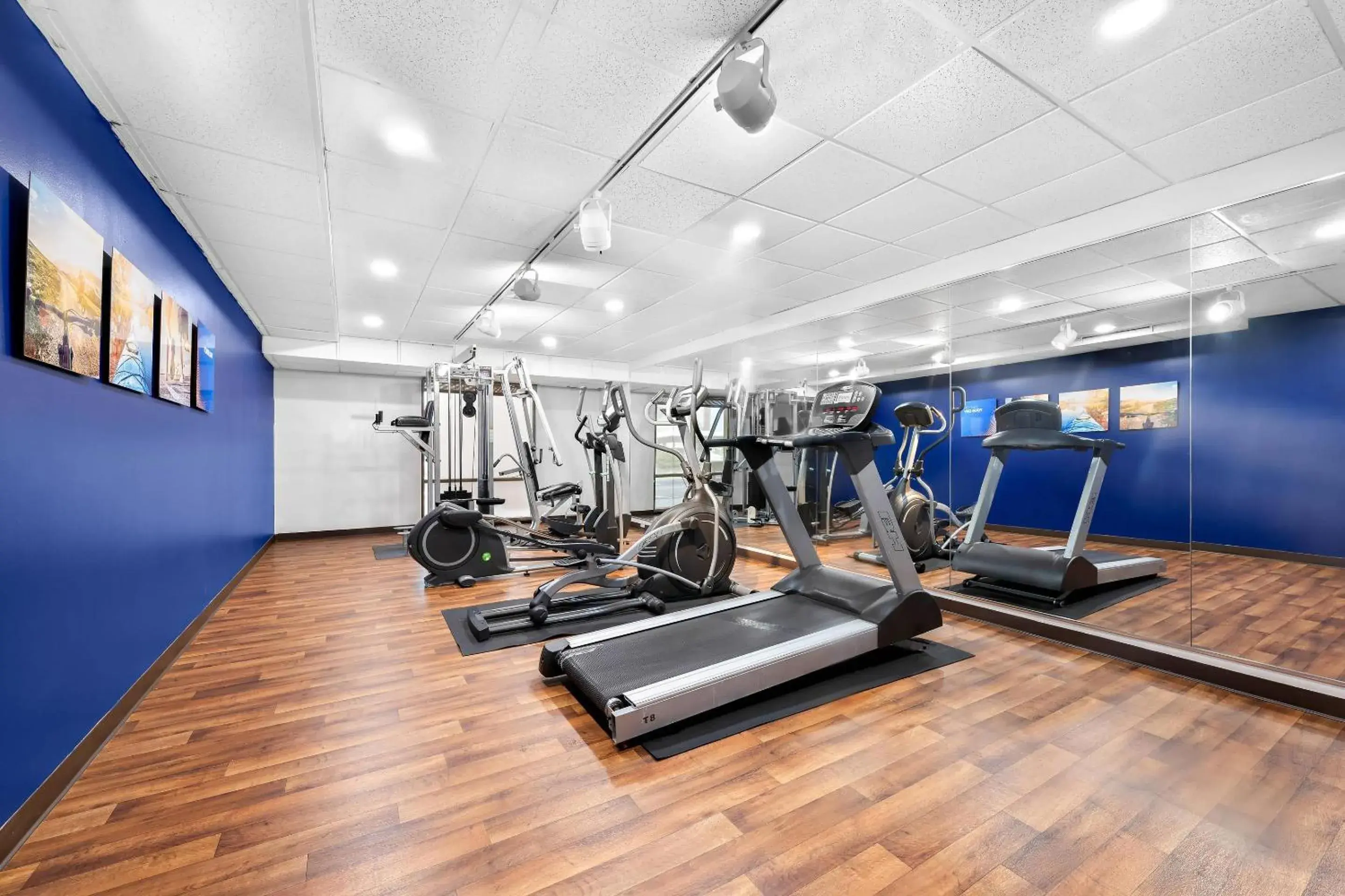 Fitness centre/facilities in Comfort Suites Cullman I-65 Exit 310 Fitness centre/facilities in Comfort Suites Cullman I-65 Exit 310