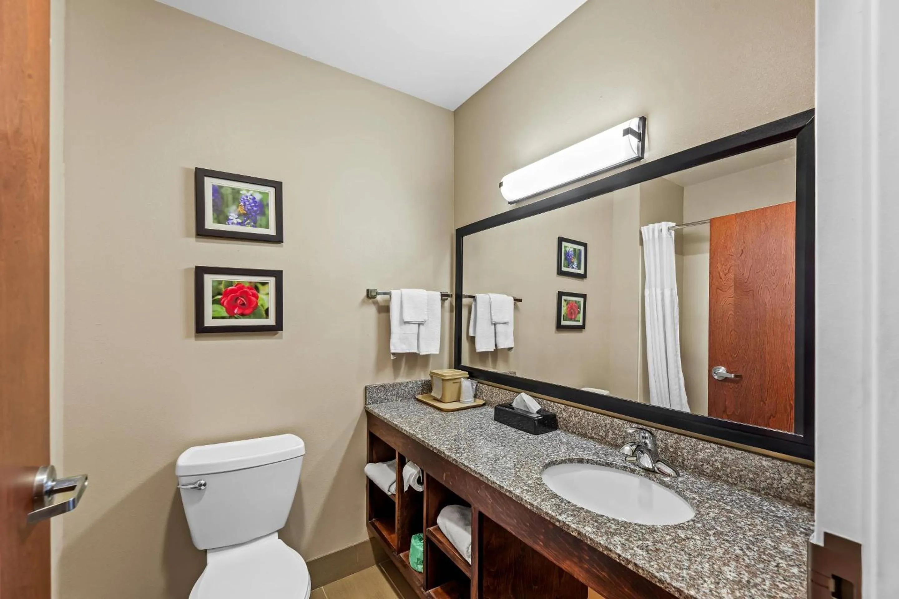 Bathroom in Comfort Inn & Suites Tuscumbia-Muscle Shoals