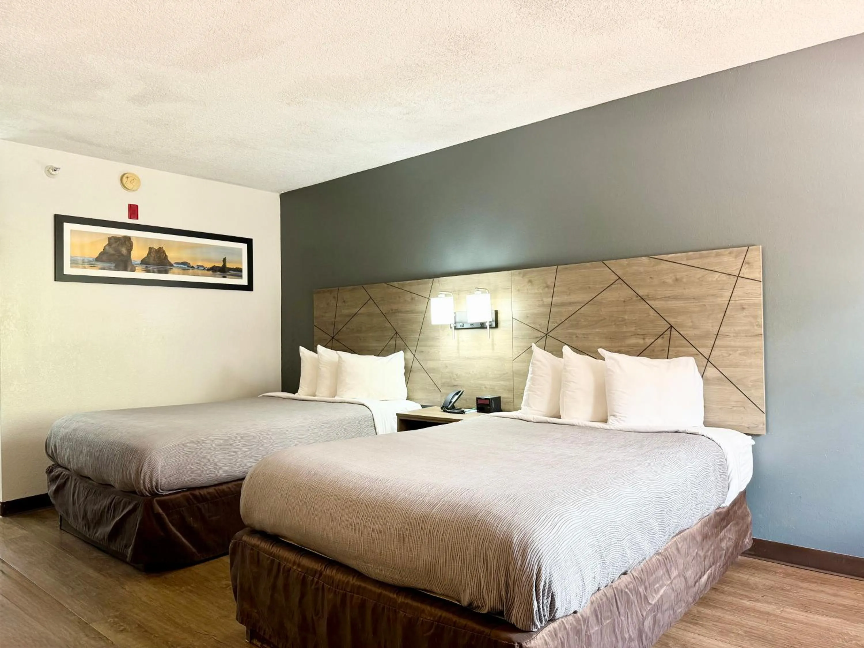 Bed in Quality Inn & Suites Greenville I-65