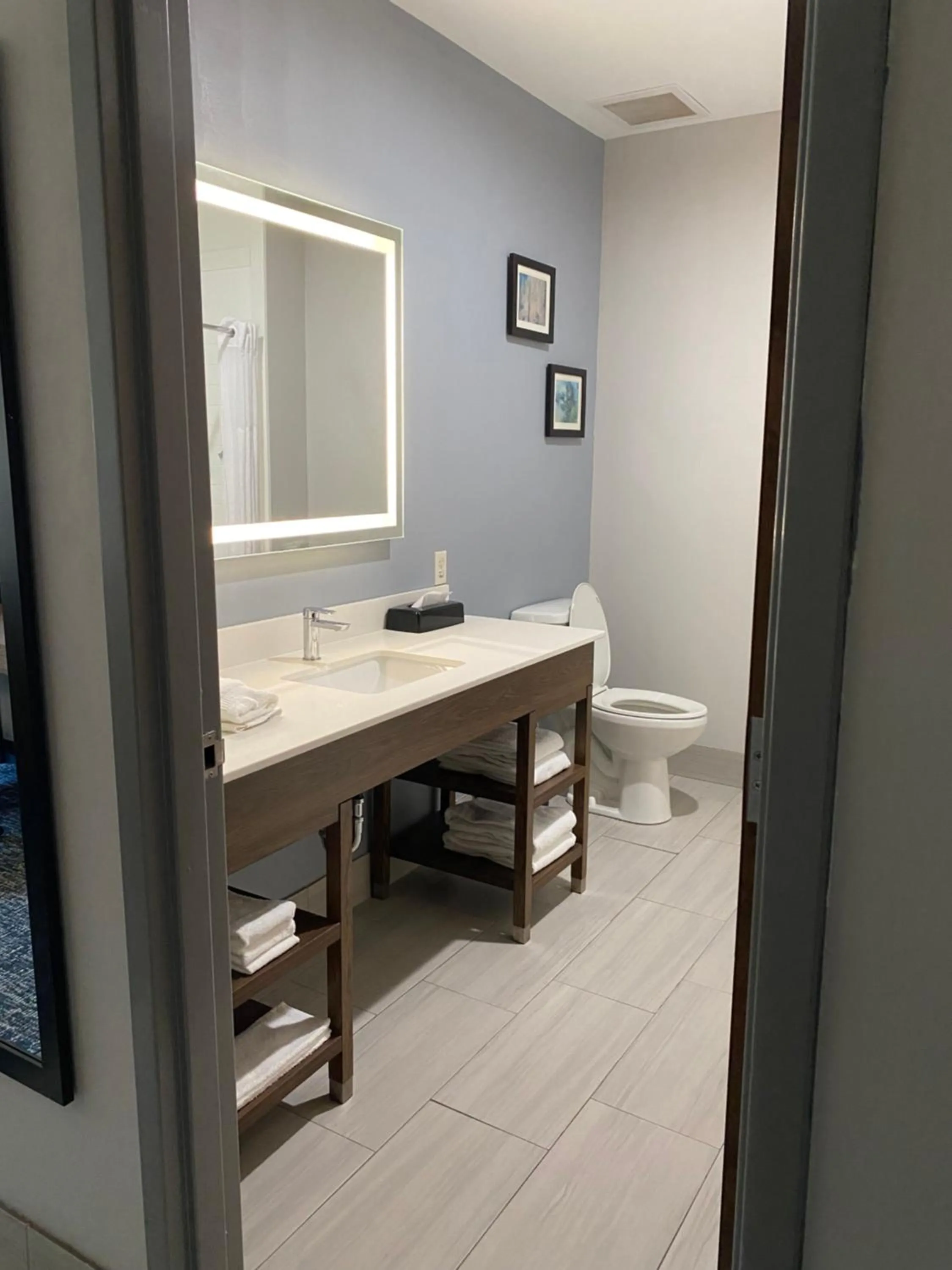 Toilet in Comfort Inn & Suites Near Lake Guntersville