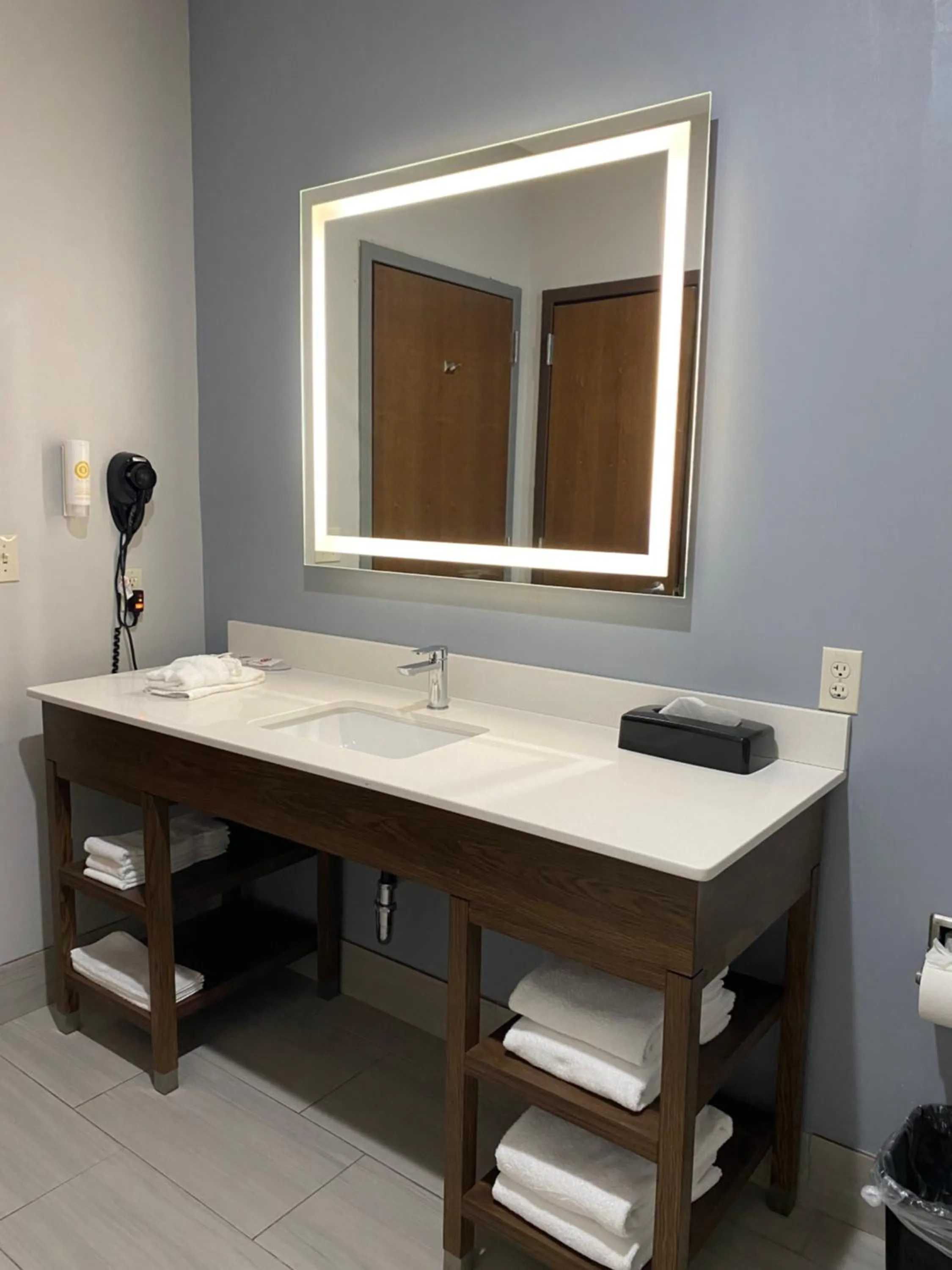 Bathroom in Comfort Inn & Suites Near Lake Guntersville