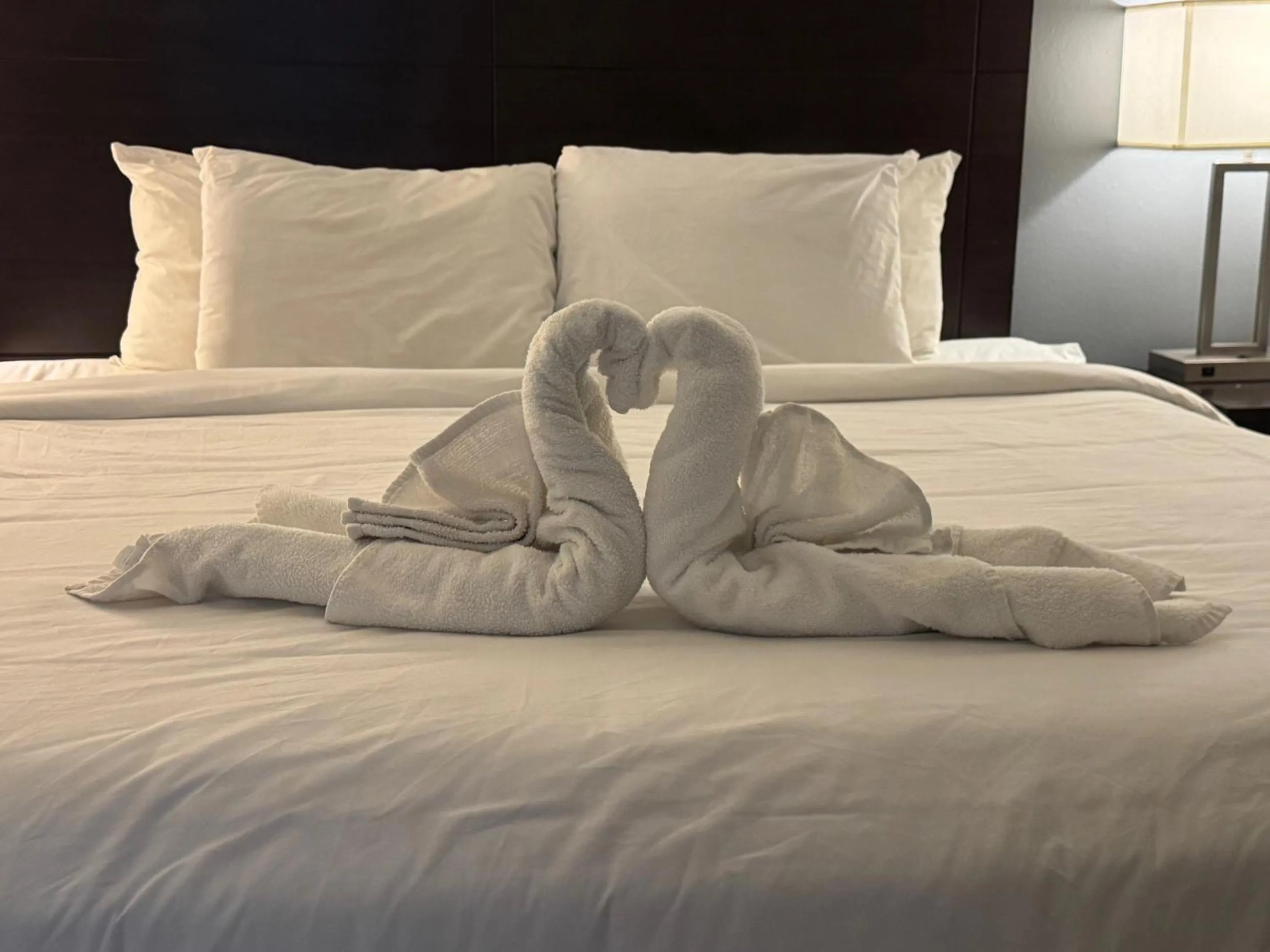 Bed in Clarion Inn & Suites Dothan South