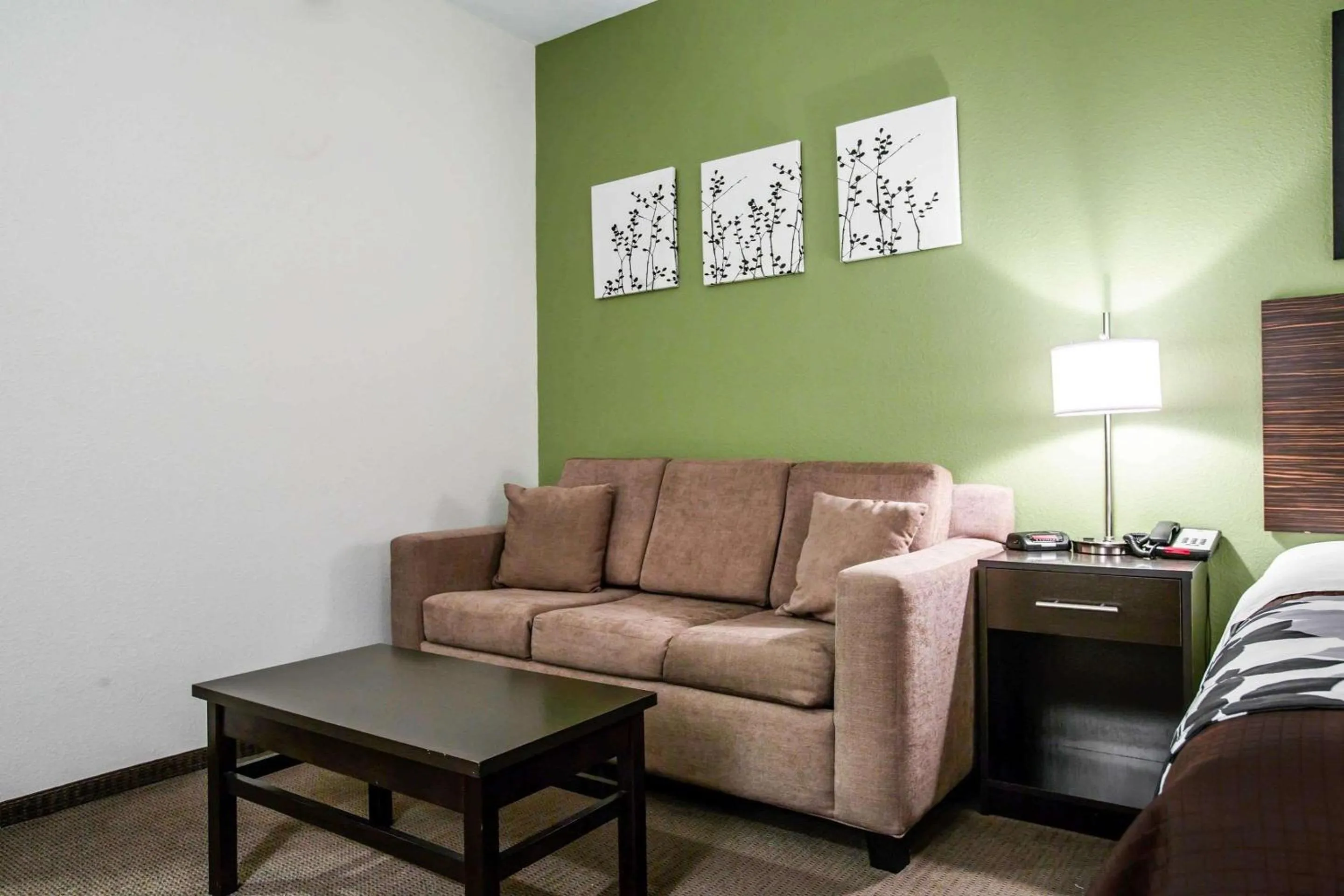 Photo of the whole room in Sleep Inn & Suites Marion - Military Institute