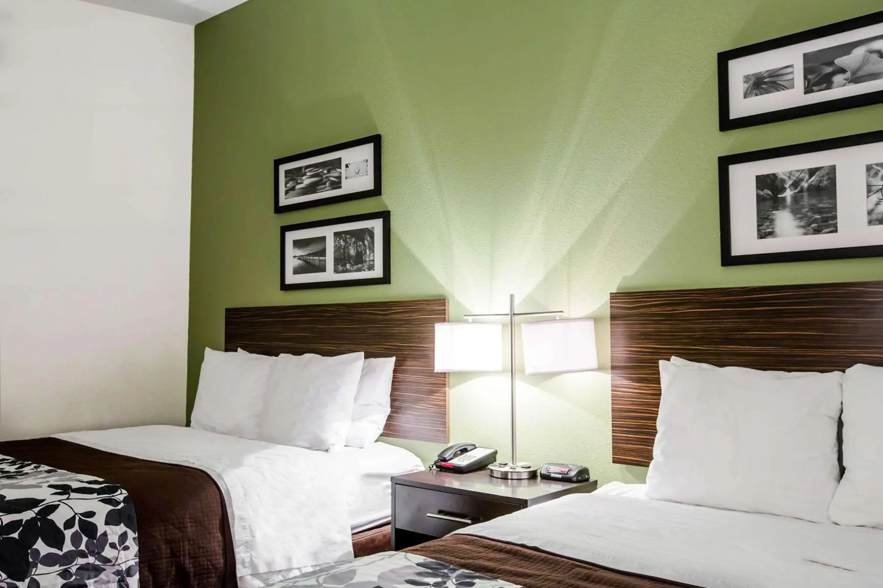 Photo of the whole room, Bed in Sleep Inn & Suites Marion - Military Institute Photo of the whole room, Bed in Sleep Inn & Suites Marion - Military Institute