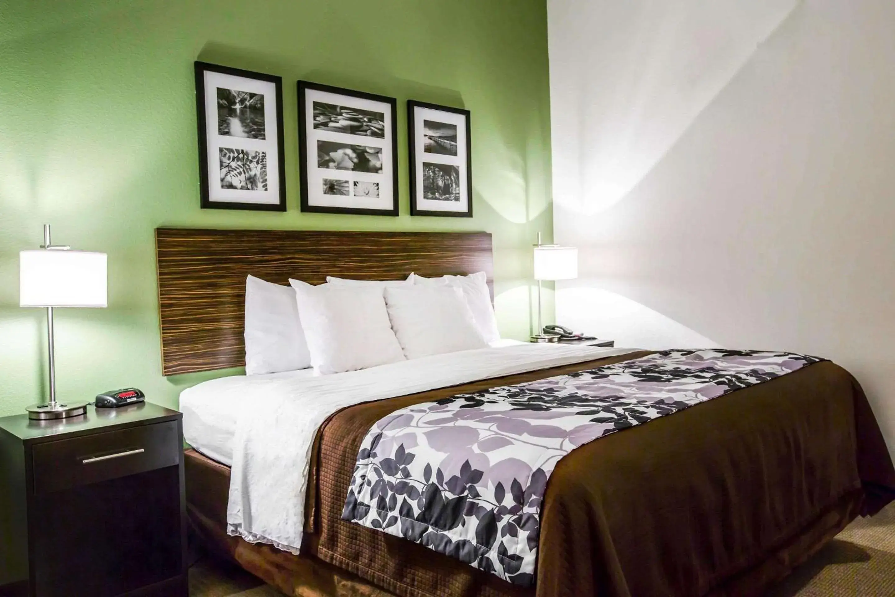 Photo of the whole room, Bed in Sleep Inn & Suites Marion - Military Institute Photo of the whole room, Bed in Sleep Inn & Suites Marion - Military Institute