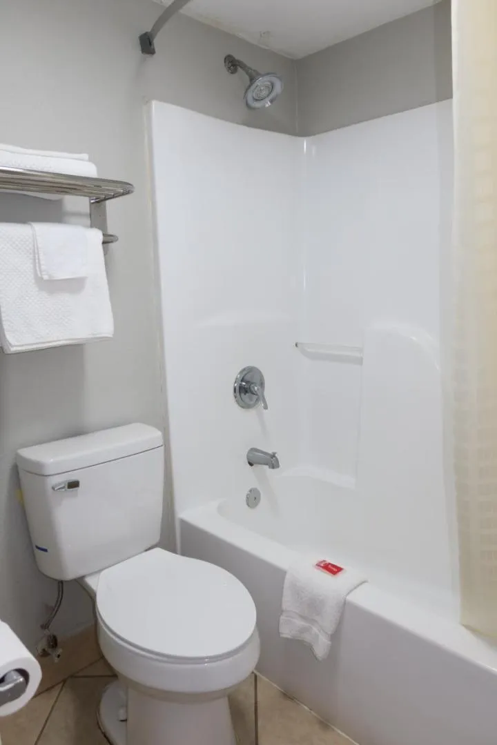 Bathroom in Econo Lodge Inn & Suites Evergreen