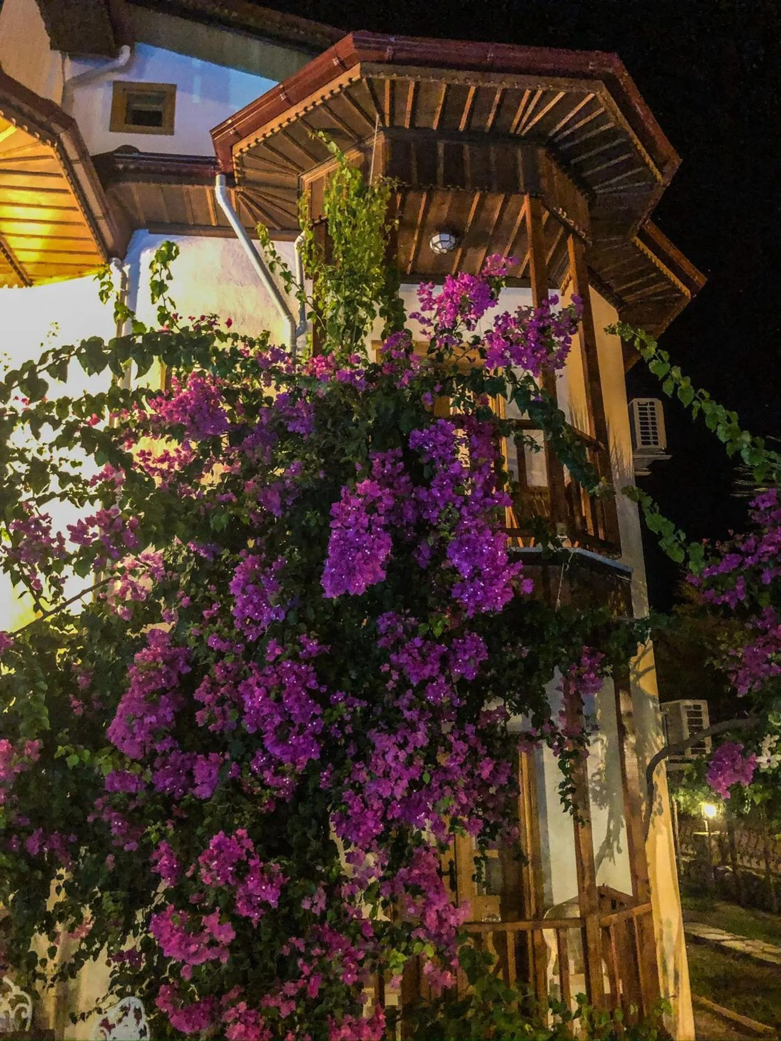 Property building in Murat Pasha Mansion