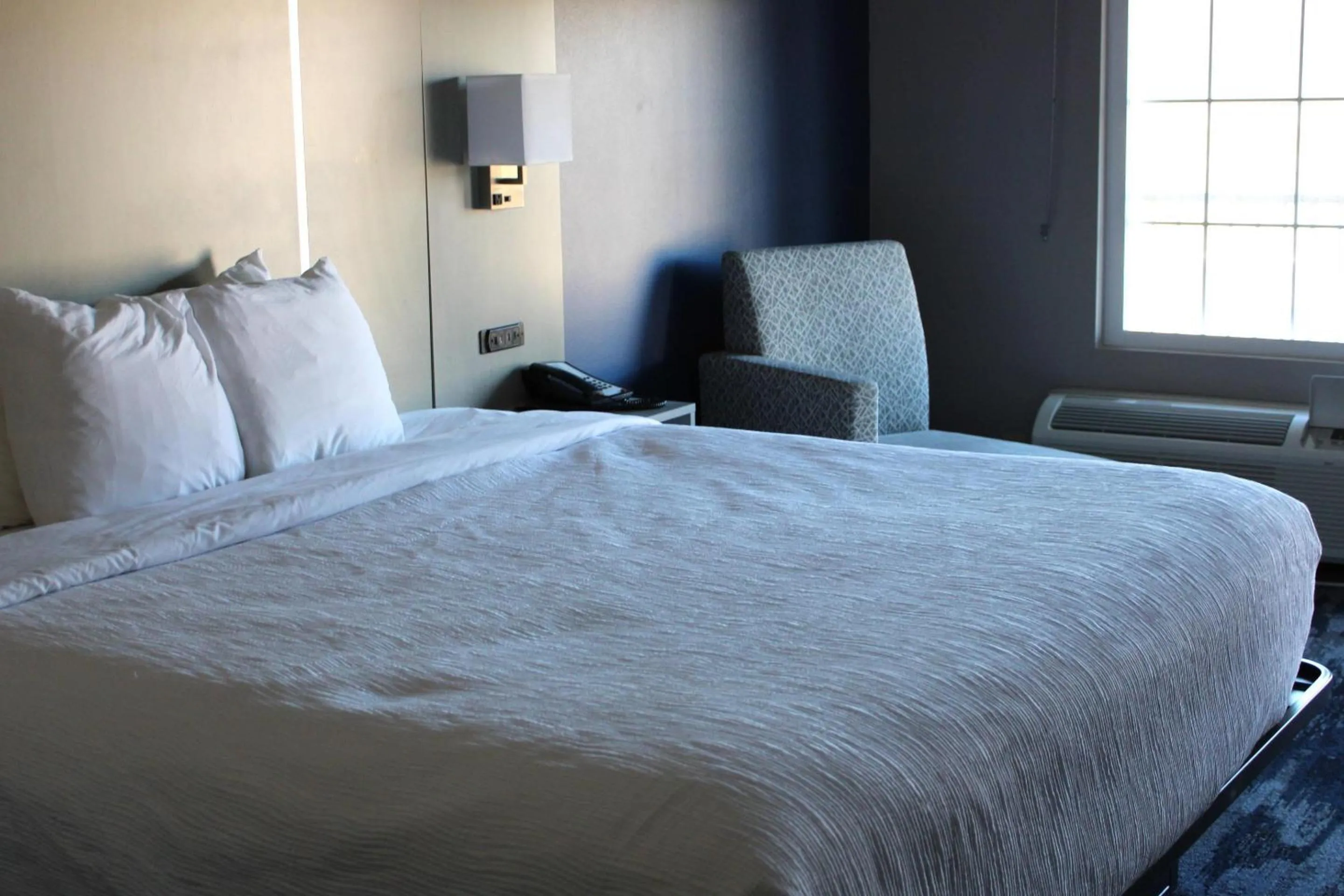 Bedroom, Bed in Quality Inn Scottsboro US-72-Lake Guntersville Area