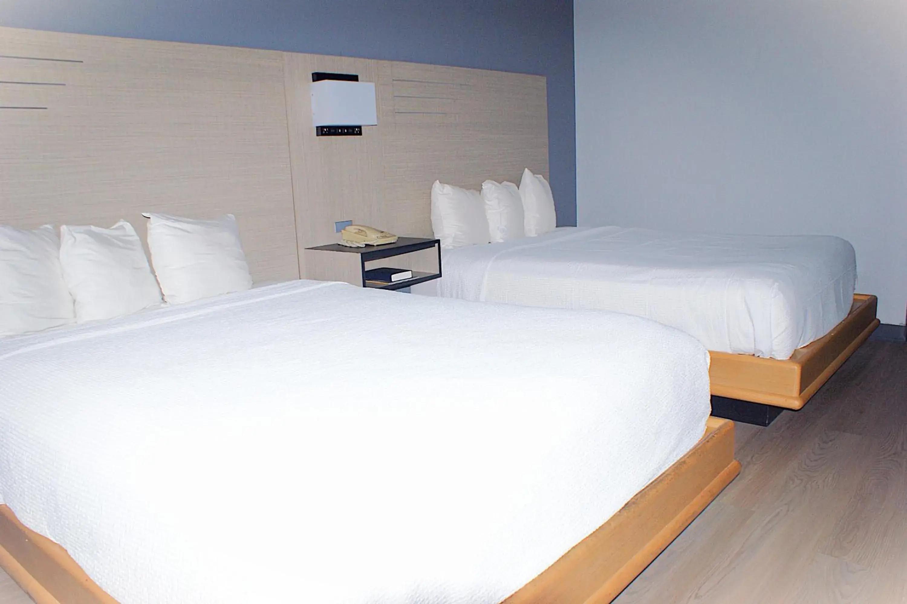 2 Queen Beds Pet Friendly in Sonesta Essential Van Buren-Fort Smith 2 Queen Beds Pet Friendly in Sonesta Essential Van Buren-Fort Smith