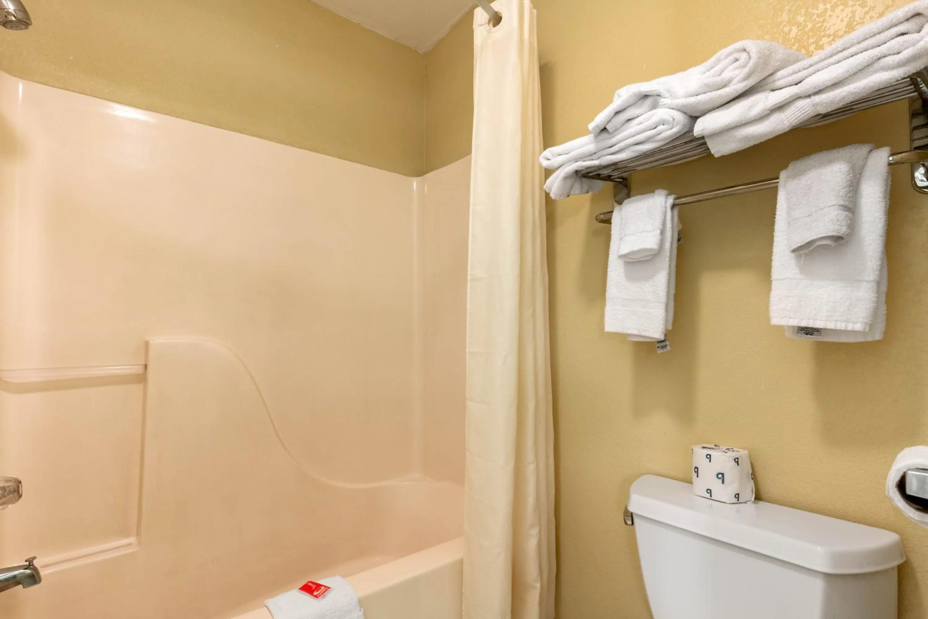 Bathroom in Econo Lodge Jonesboro