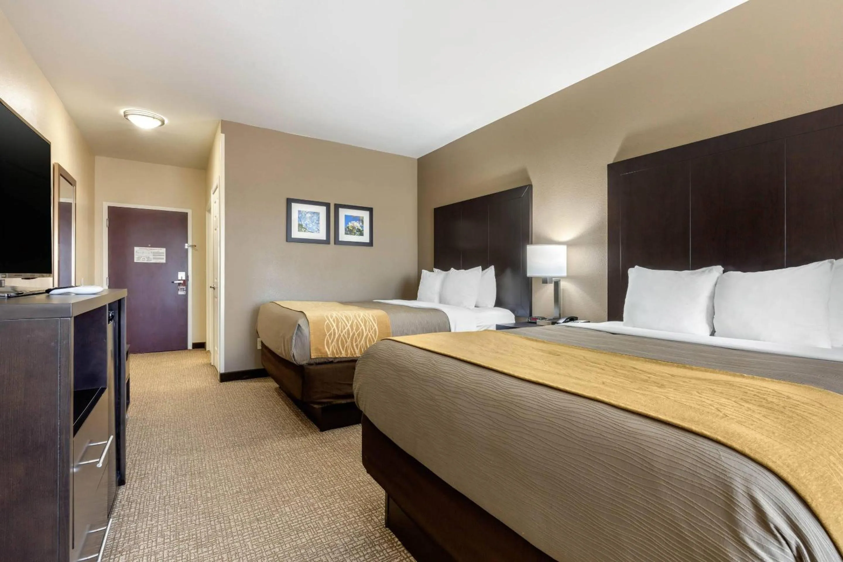 Bedroom, Bed in Comfort Inn & Suites North Little Rock McCain Mall