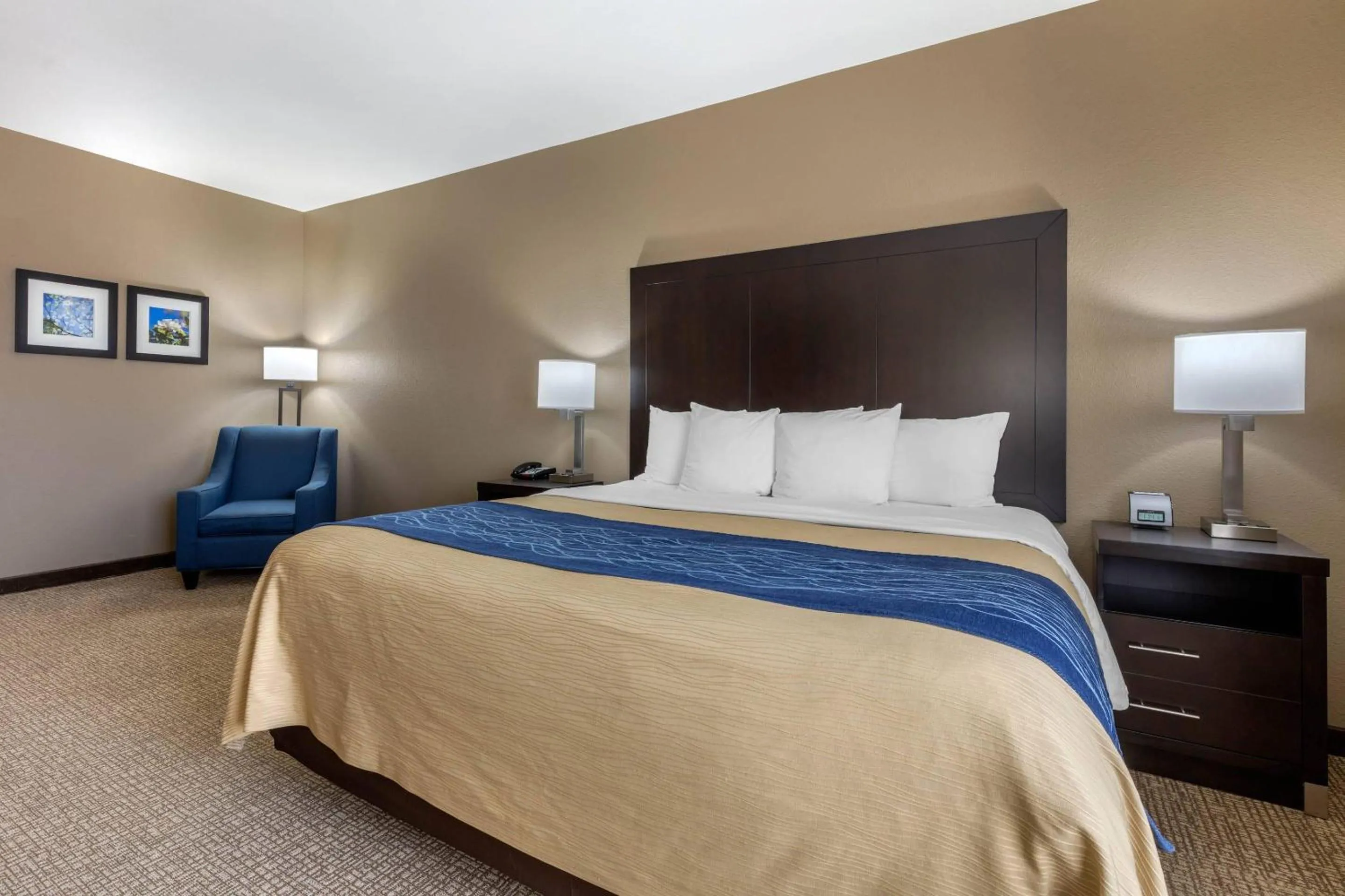 Bedroom, Bed in Comfort Inn & Suites North Little Rock McCain Mall