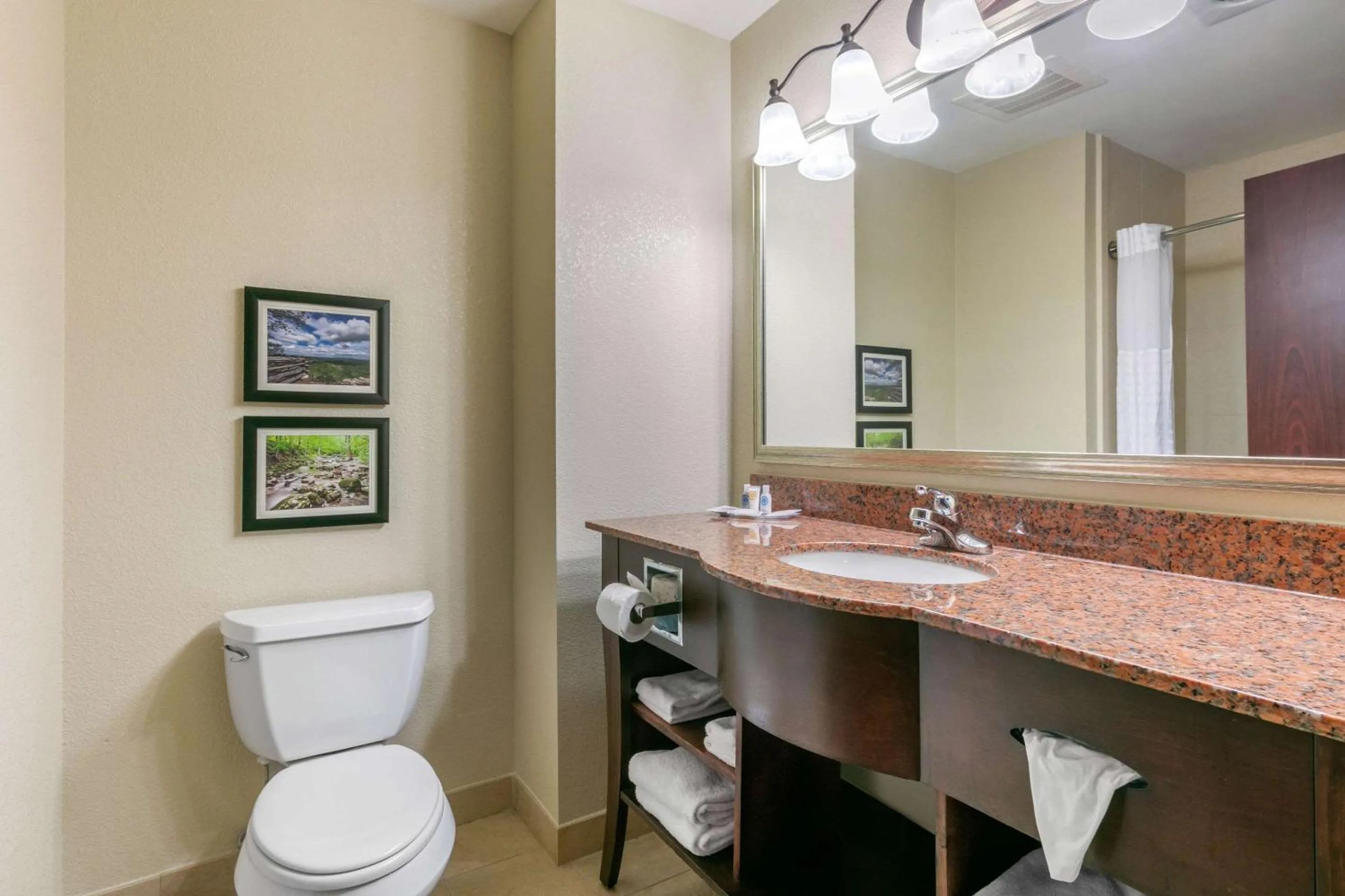 Bedroom in Comfort Suites Forrest City