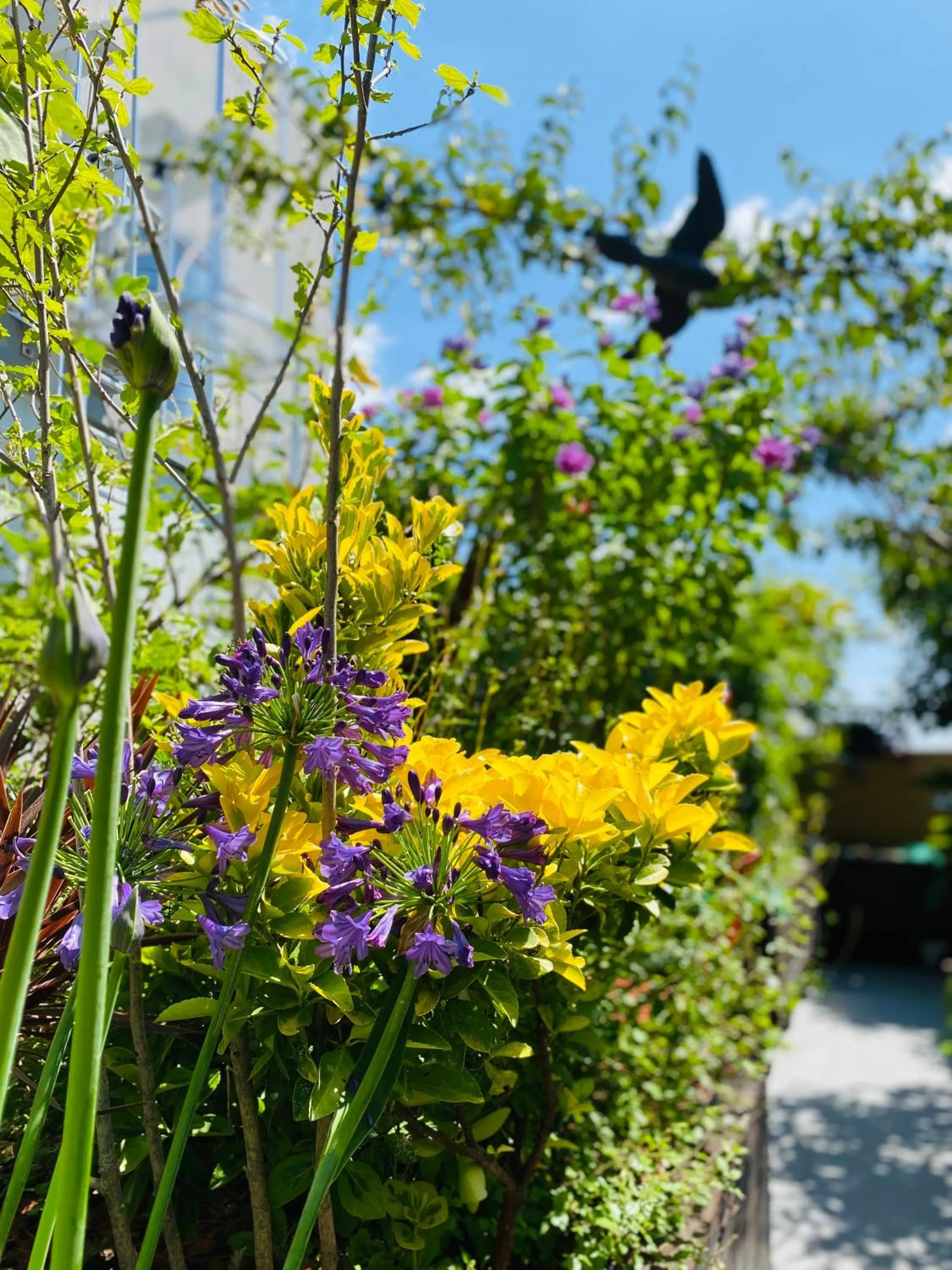 Garden in The People - Paris Bercy