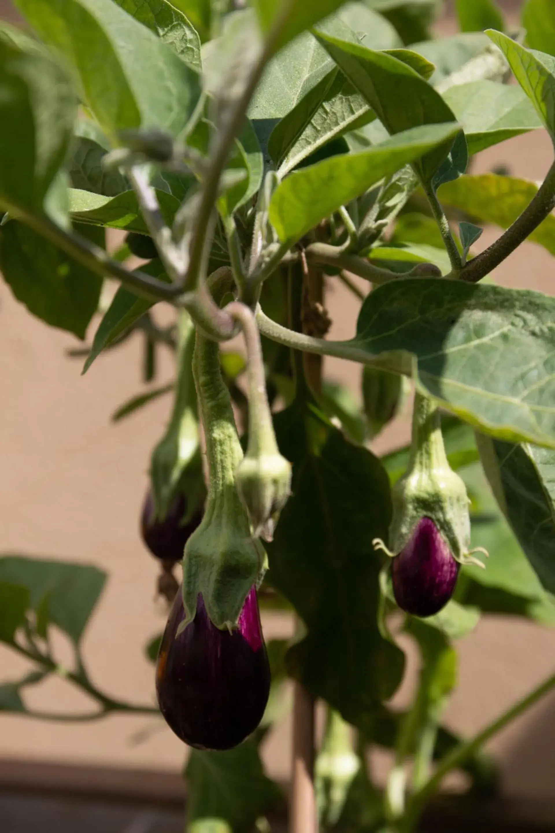 Property building in The People - Paris Bercy Property building in The People - Paris Bercy
