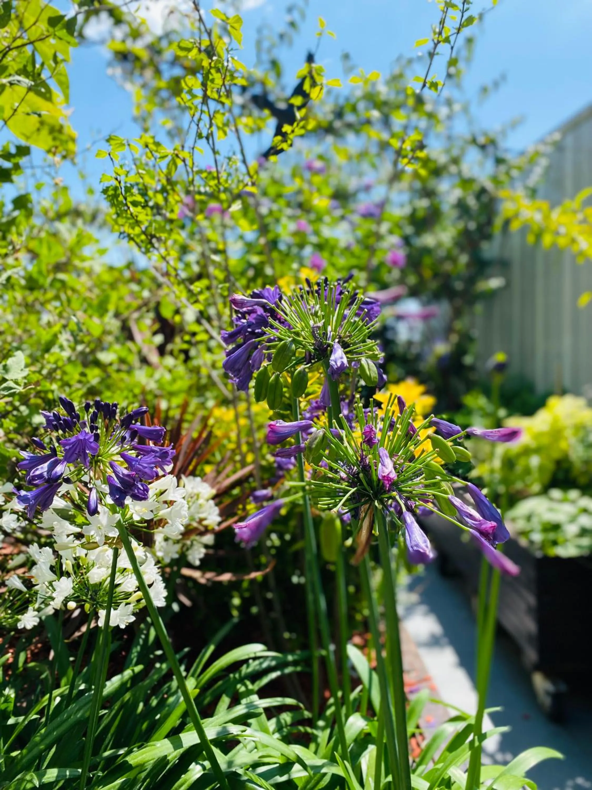 Garden in The People - Paris Bercy