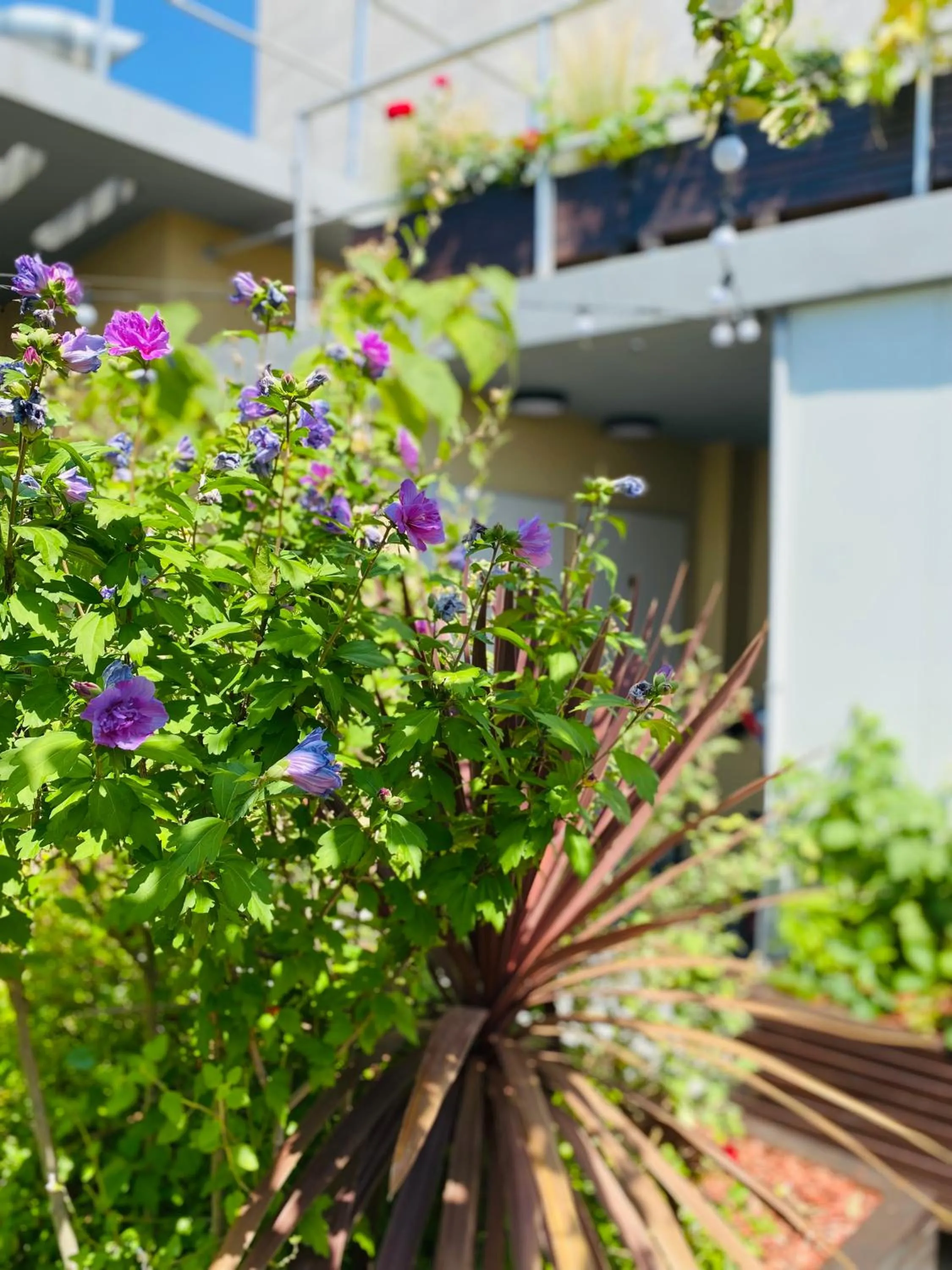 Garden in The People - Paris Bercy