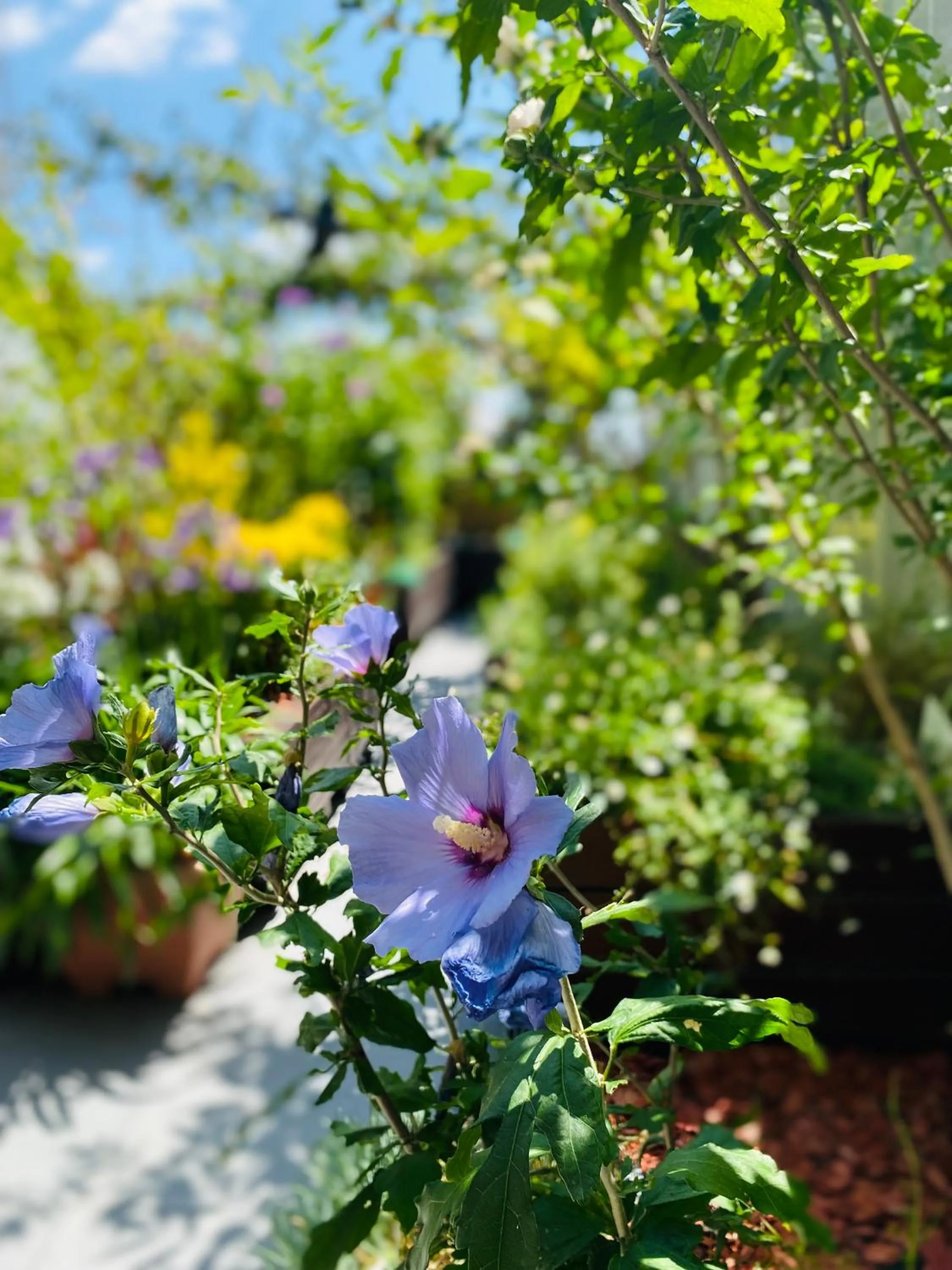 Garden in The People - Paris Bercy