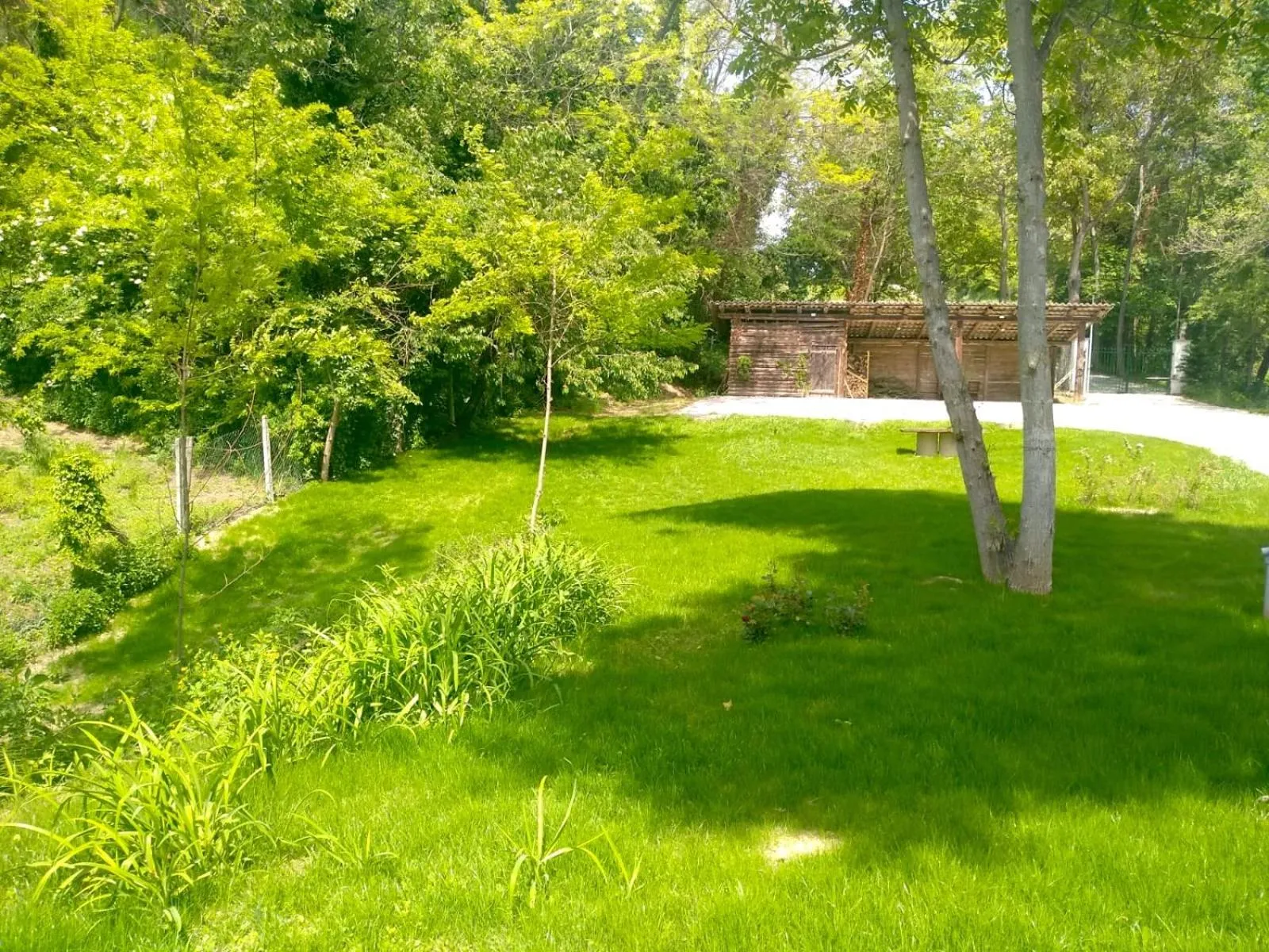 AMERICA NEI BOSCHI B&B