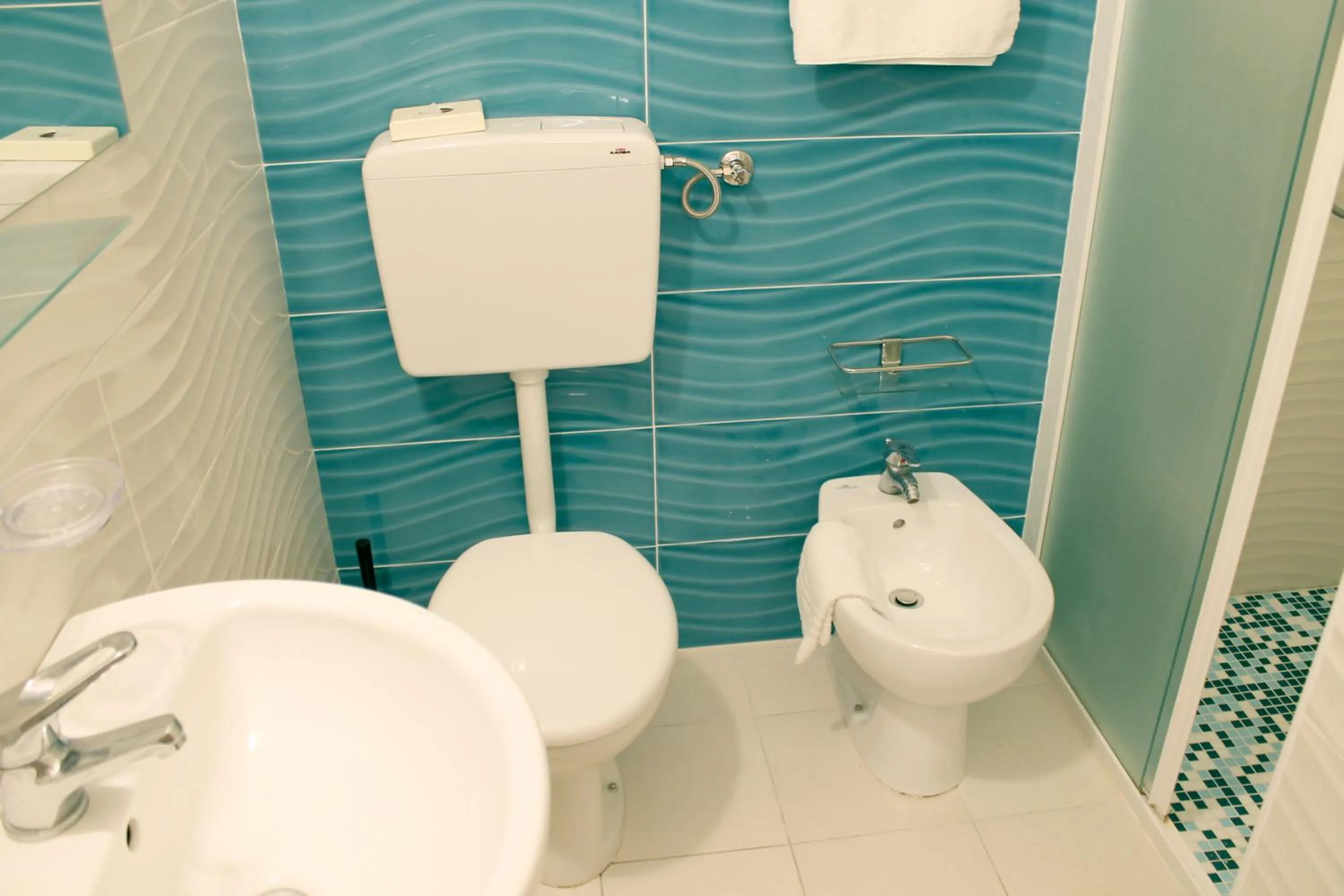 Toilet in Hotel Roxy