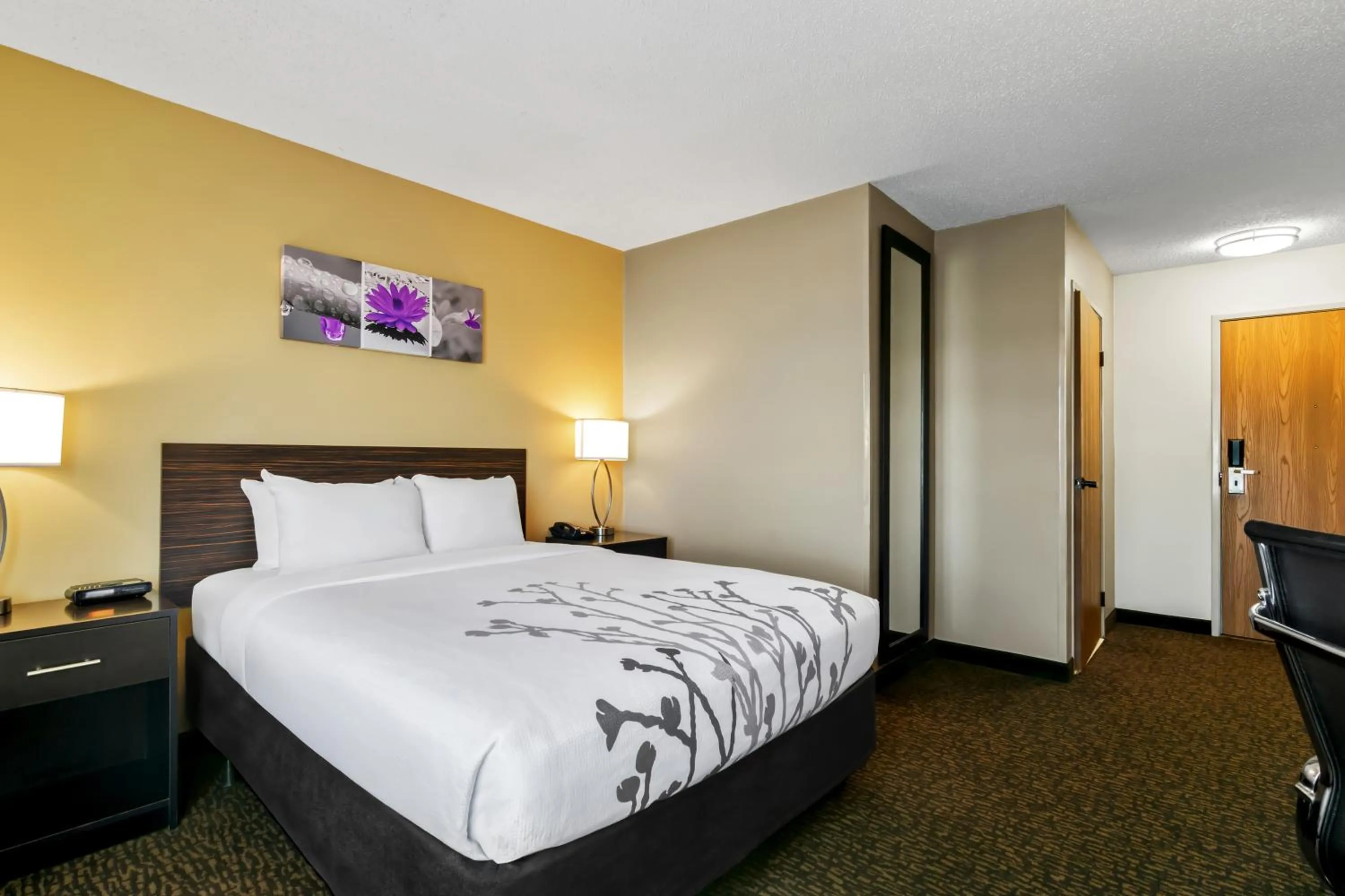 Bed in Sleep Inn Fayetteville North