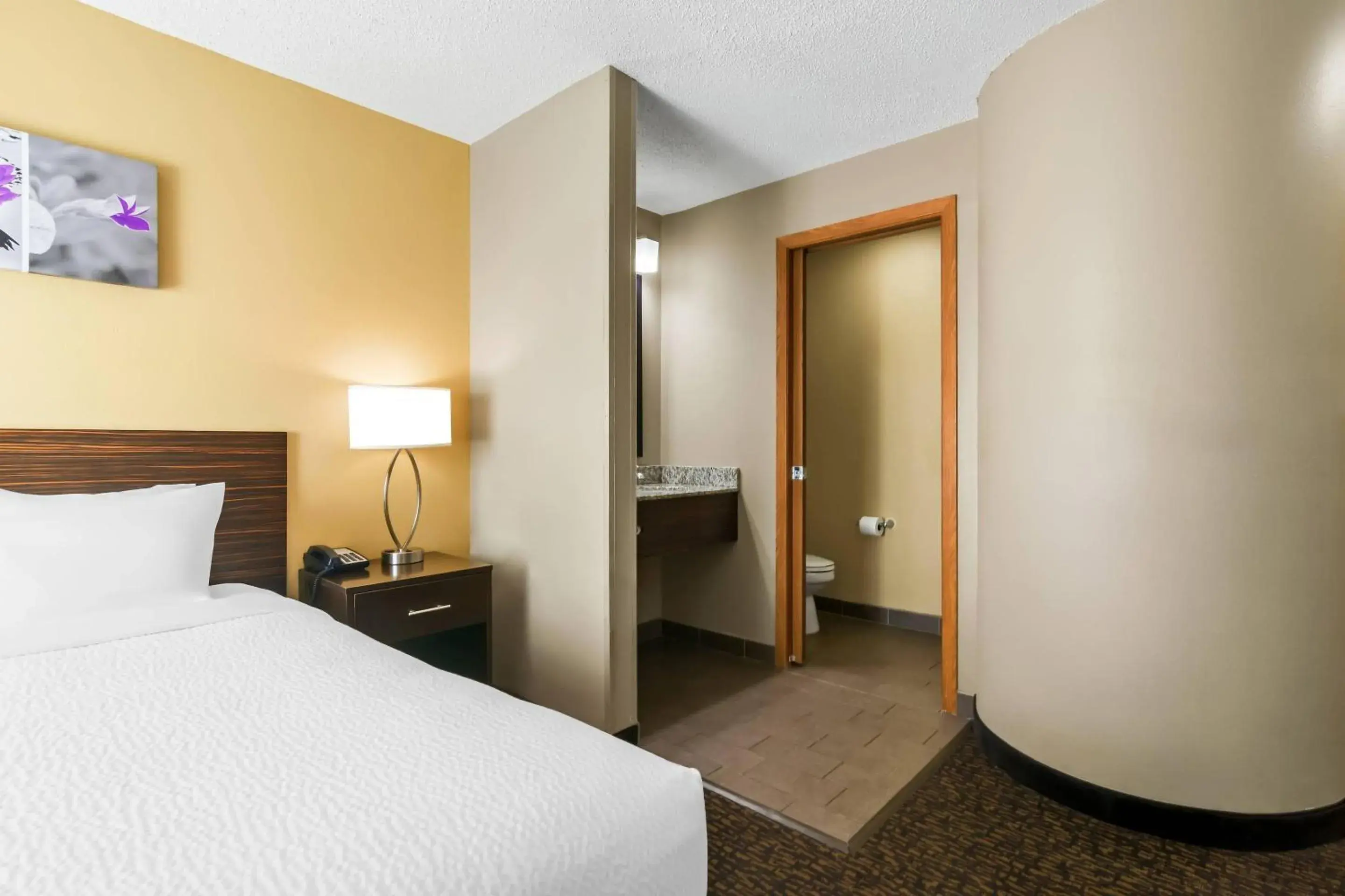 Bedroom, Bed in Sleep Inn Fayetteville North Bedroom, Bed in Sleep Inn Fayetteville North