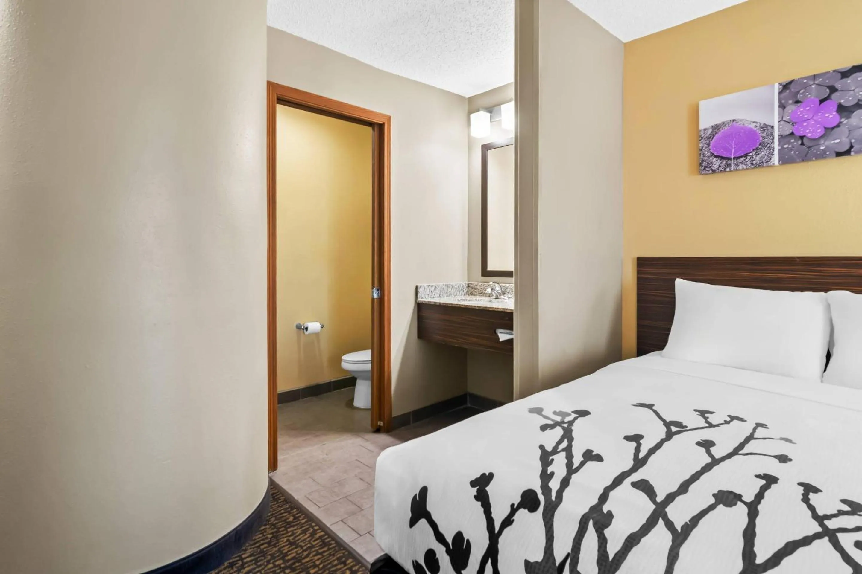 Bedroom, Bed in Sleep Inn Fayetteville North