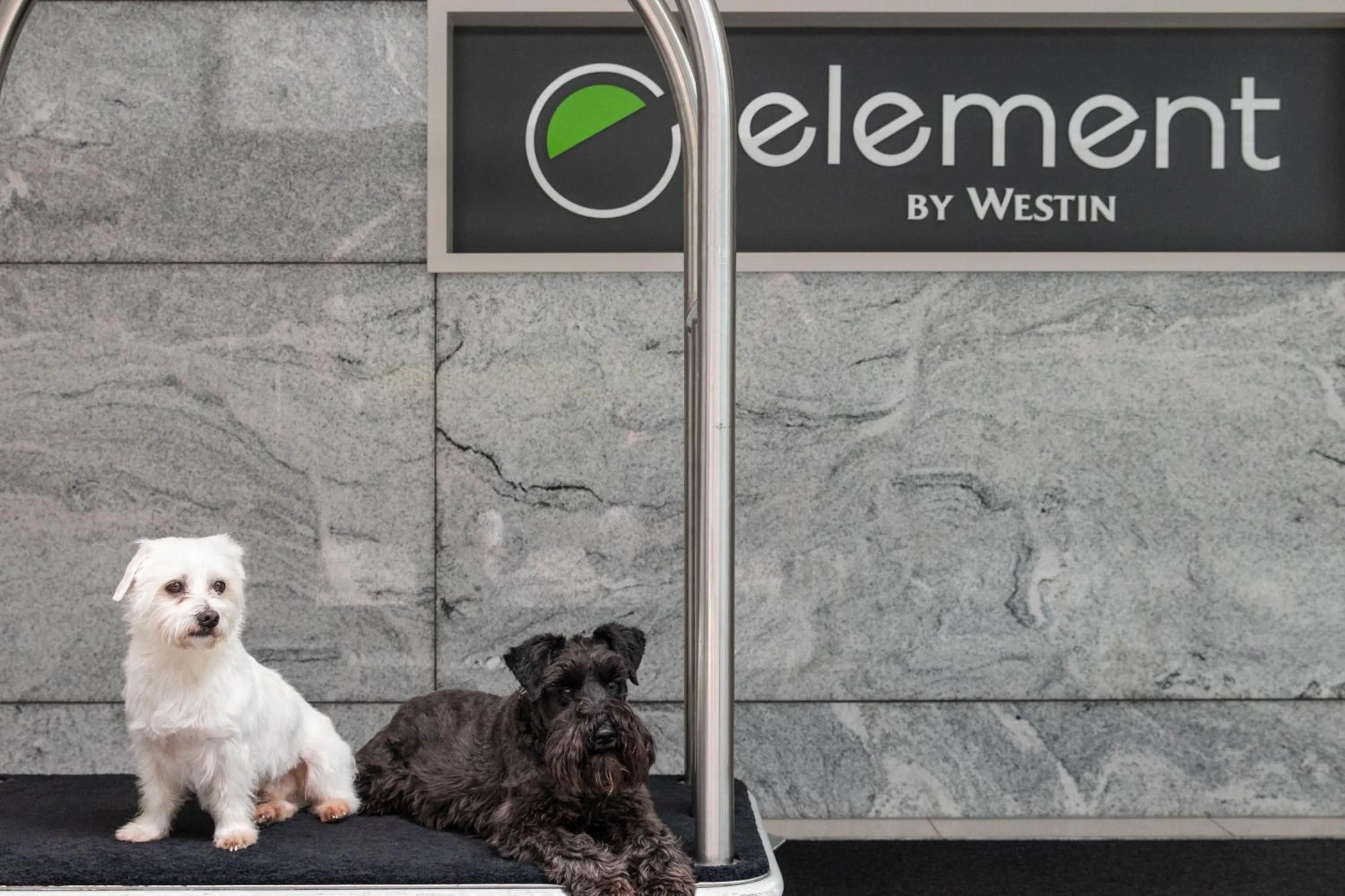 Other in Element Melbourne Richmond