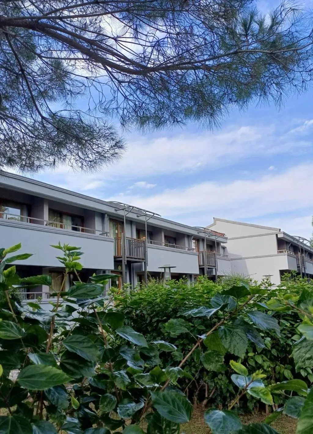 Property building in Master Family Club