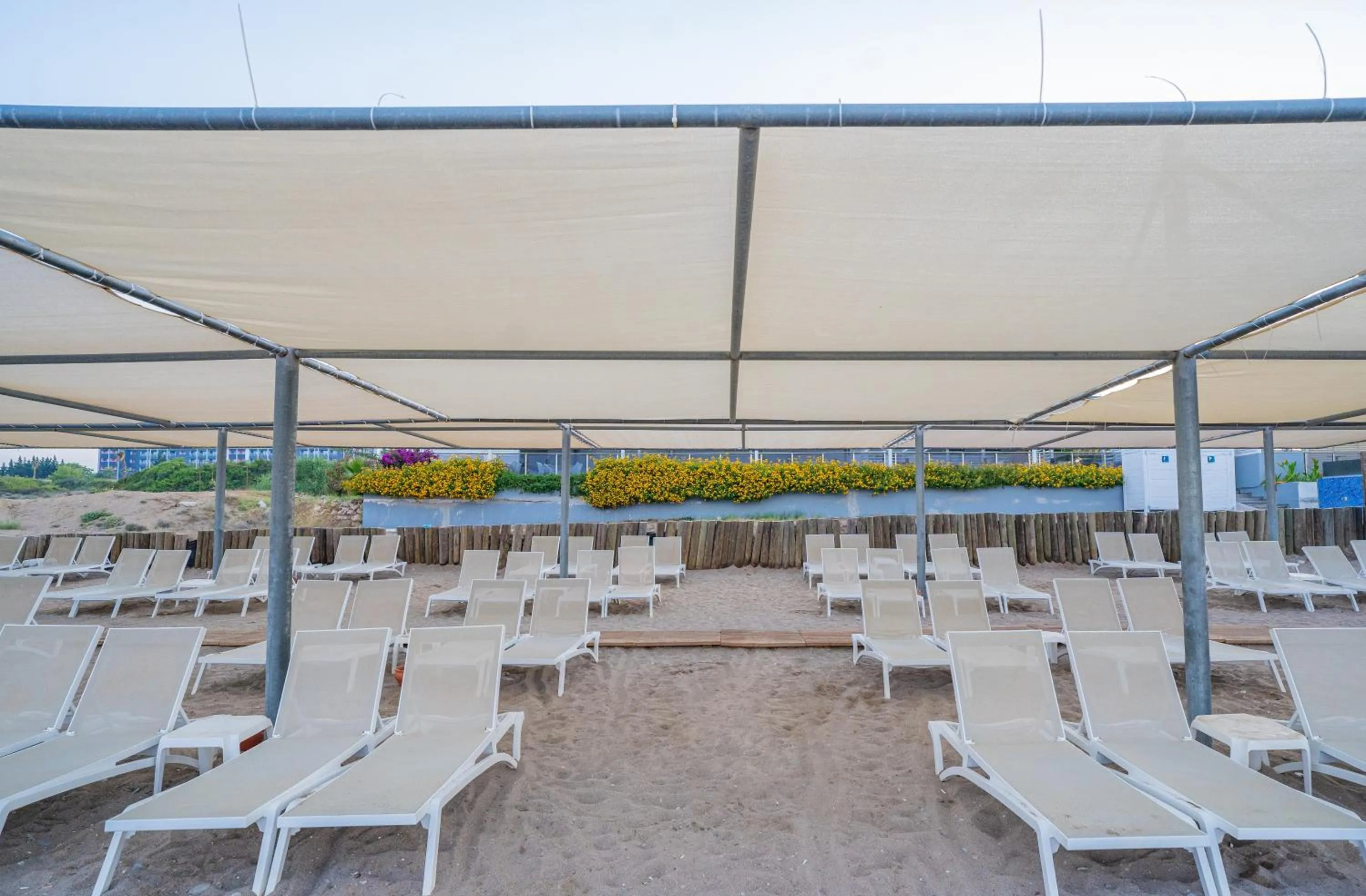 Day in Master Family Club