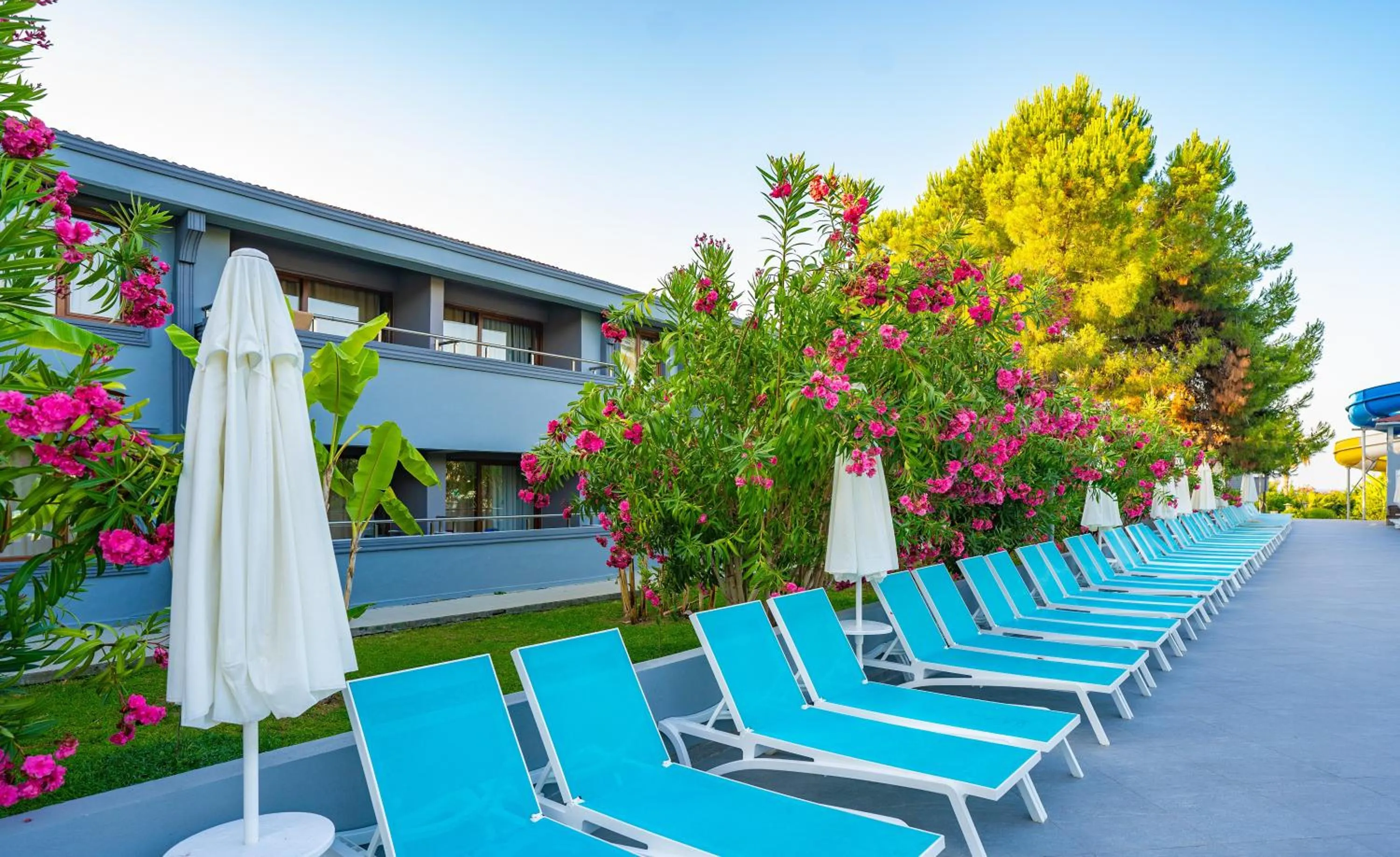 Property building in Master Family Club