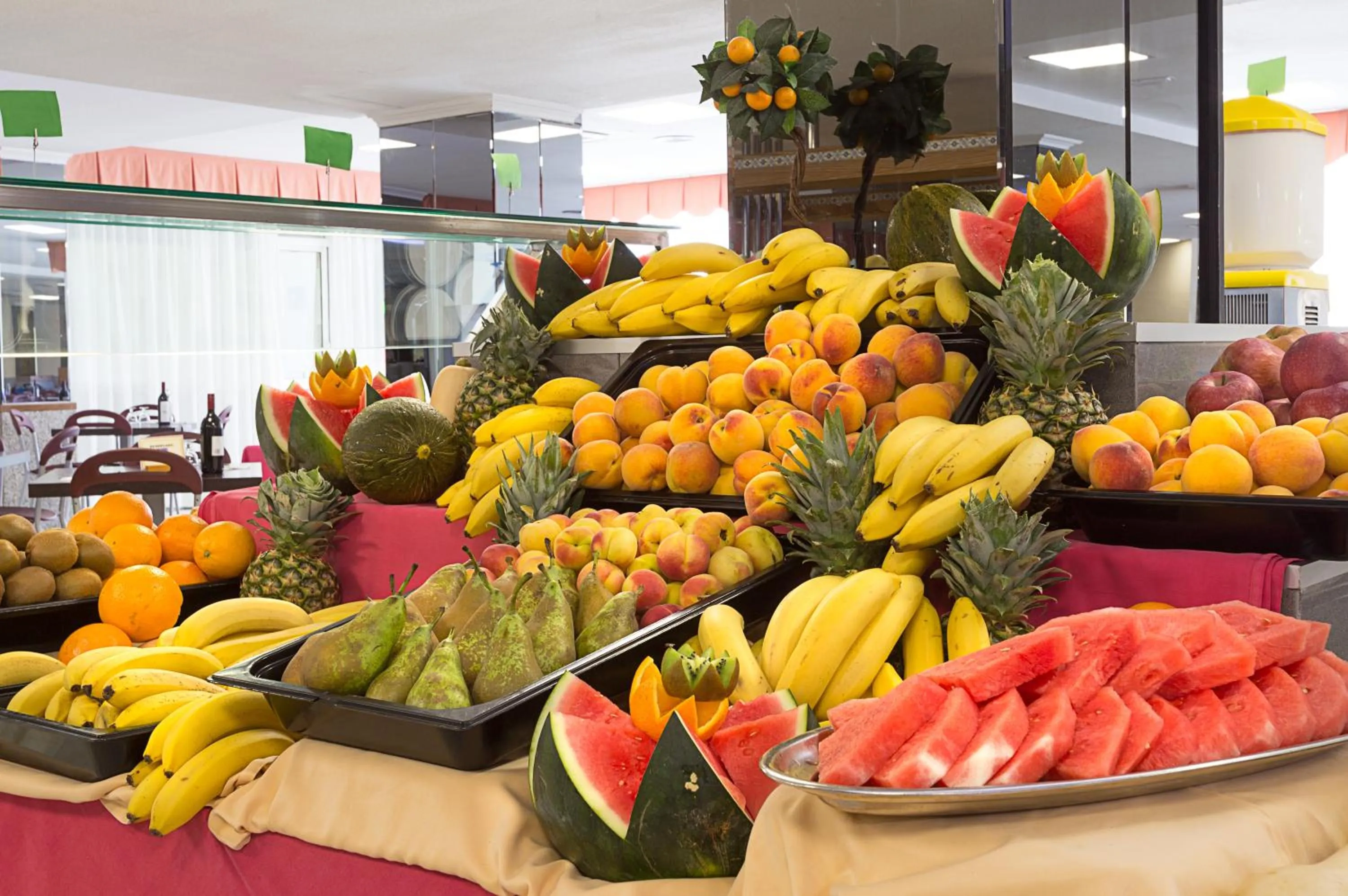 Day in Hotel Izán Cavanna