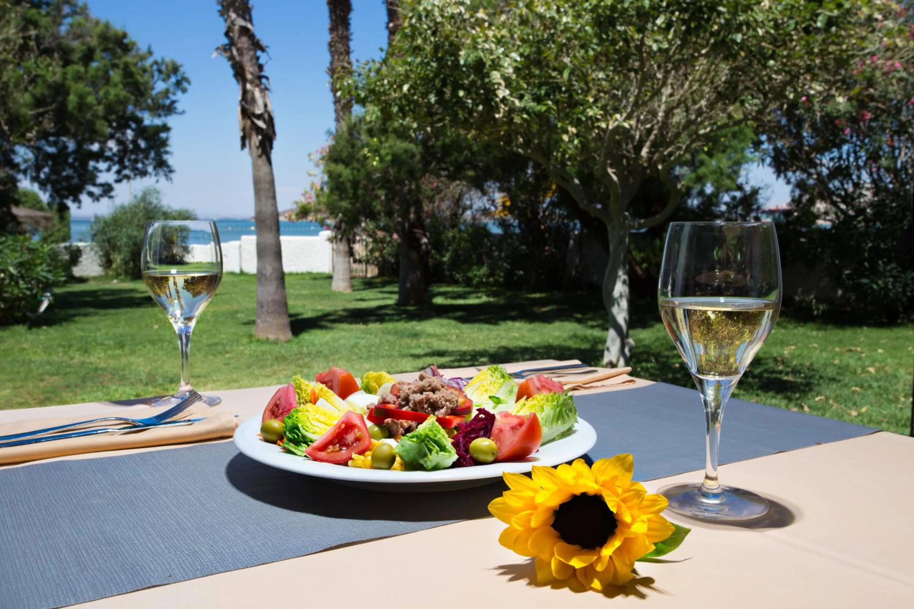 Day in Hotel Izán Cavanna