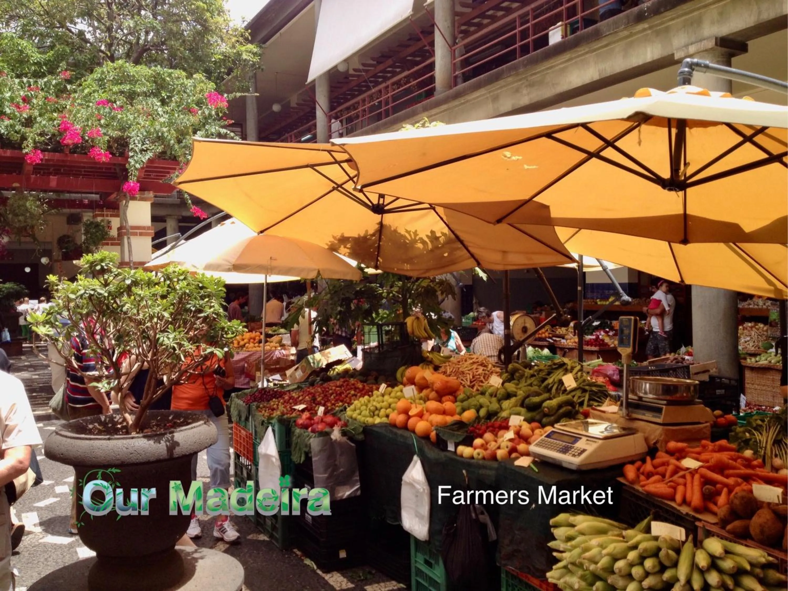 Other in OurMadeira - Heart of Old Town I
