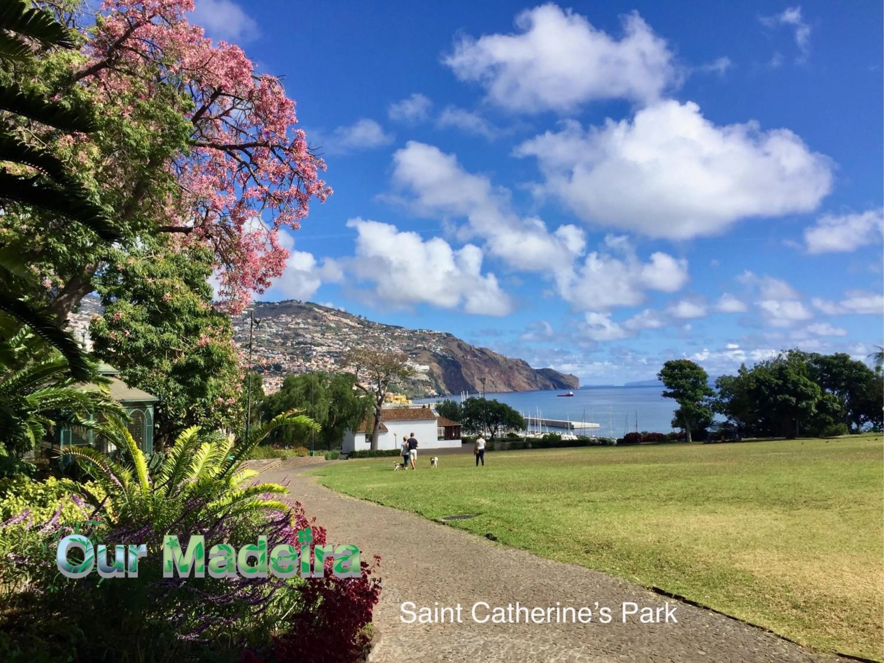 Other in OurMadeira - Heart of Old Town I