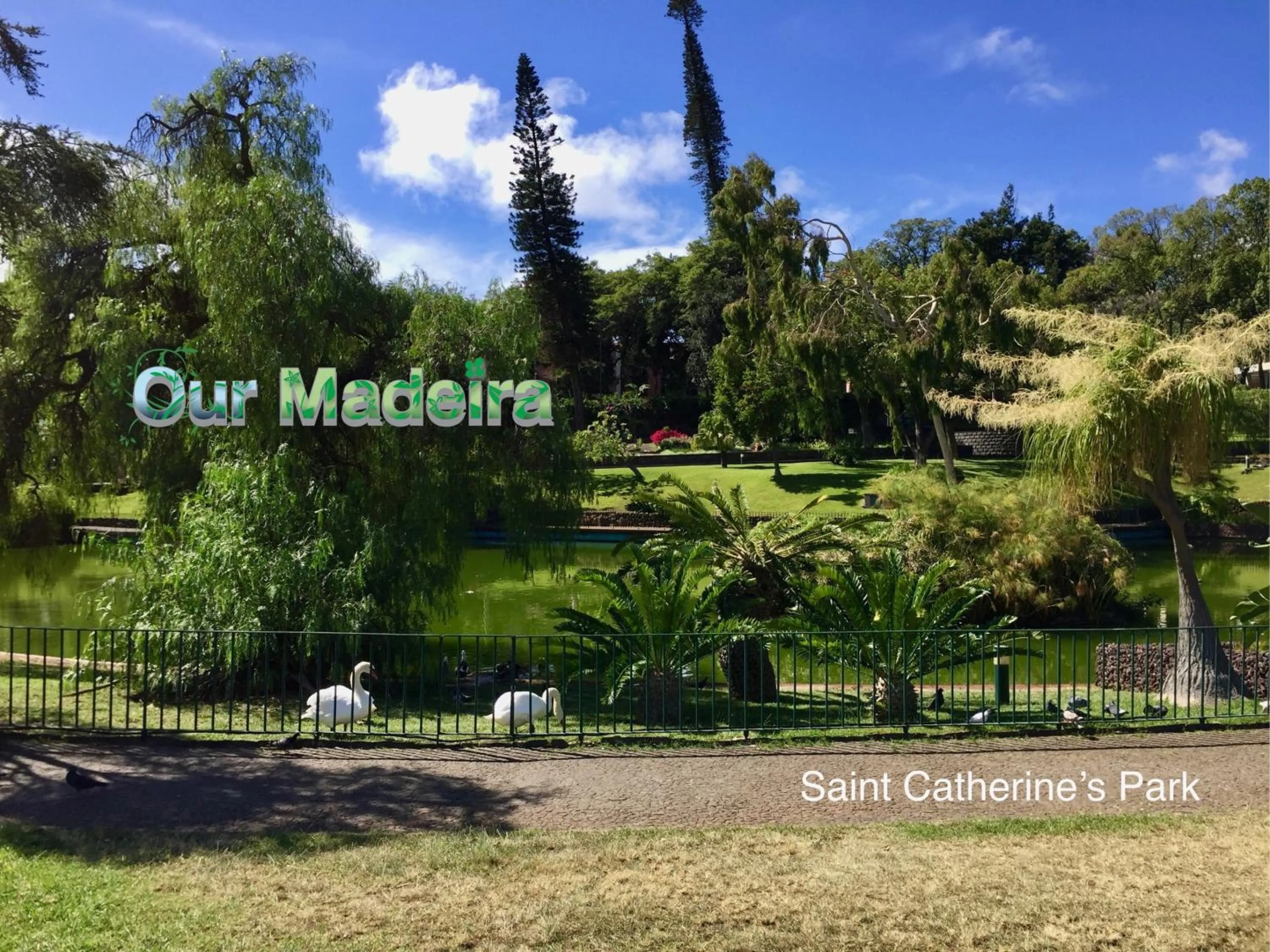 Other in OurMadeira - Heart of Old Town I