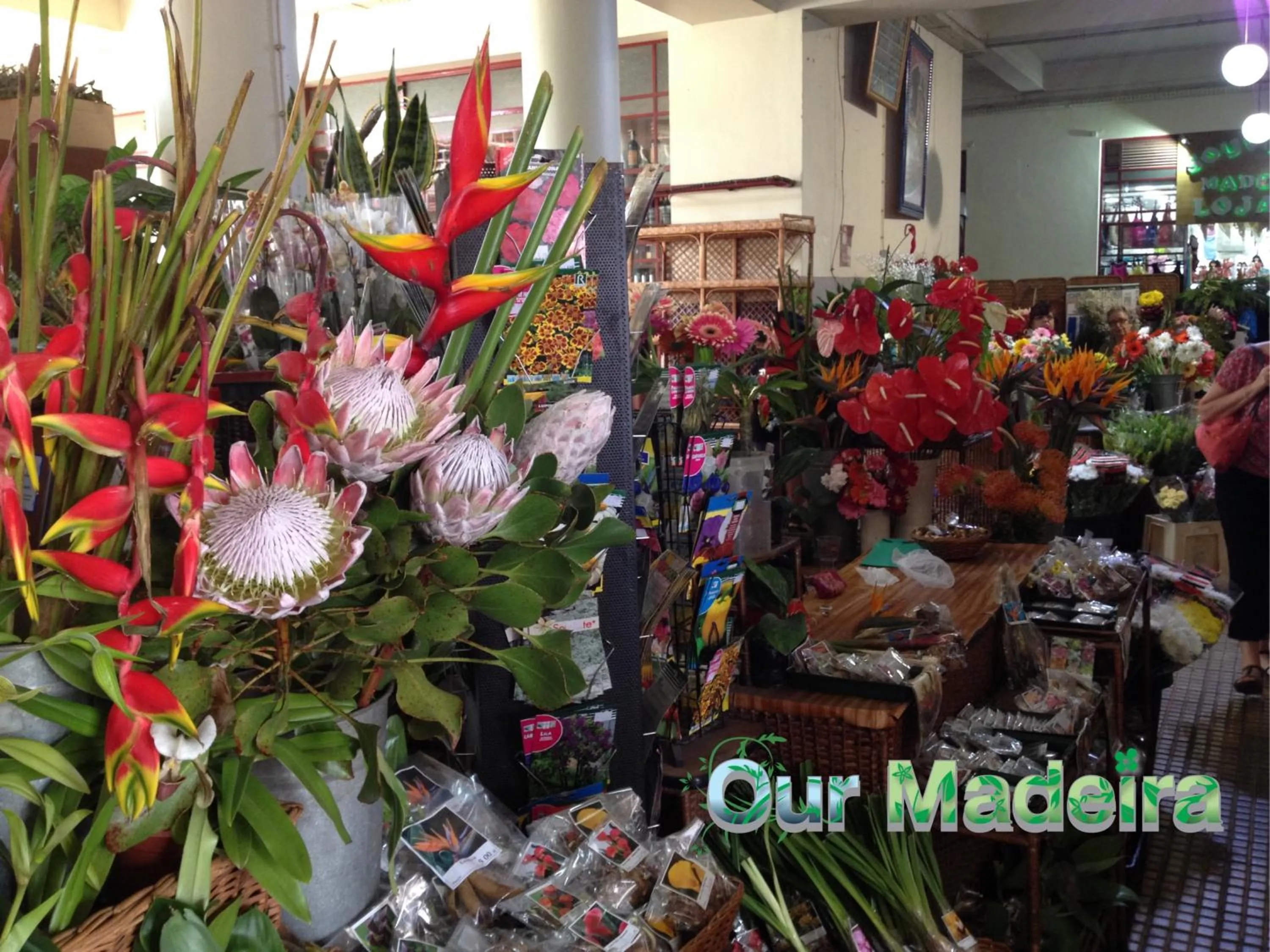 Other in OurMadeira - Heart of Old Town I