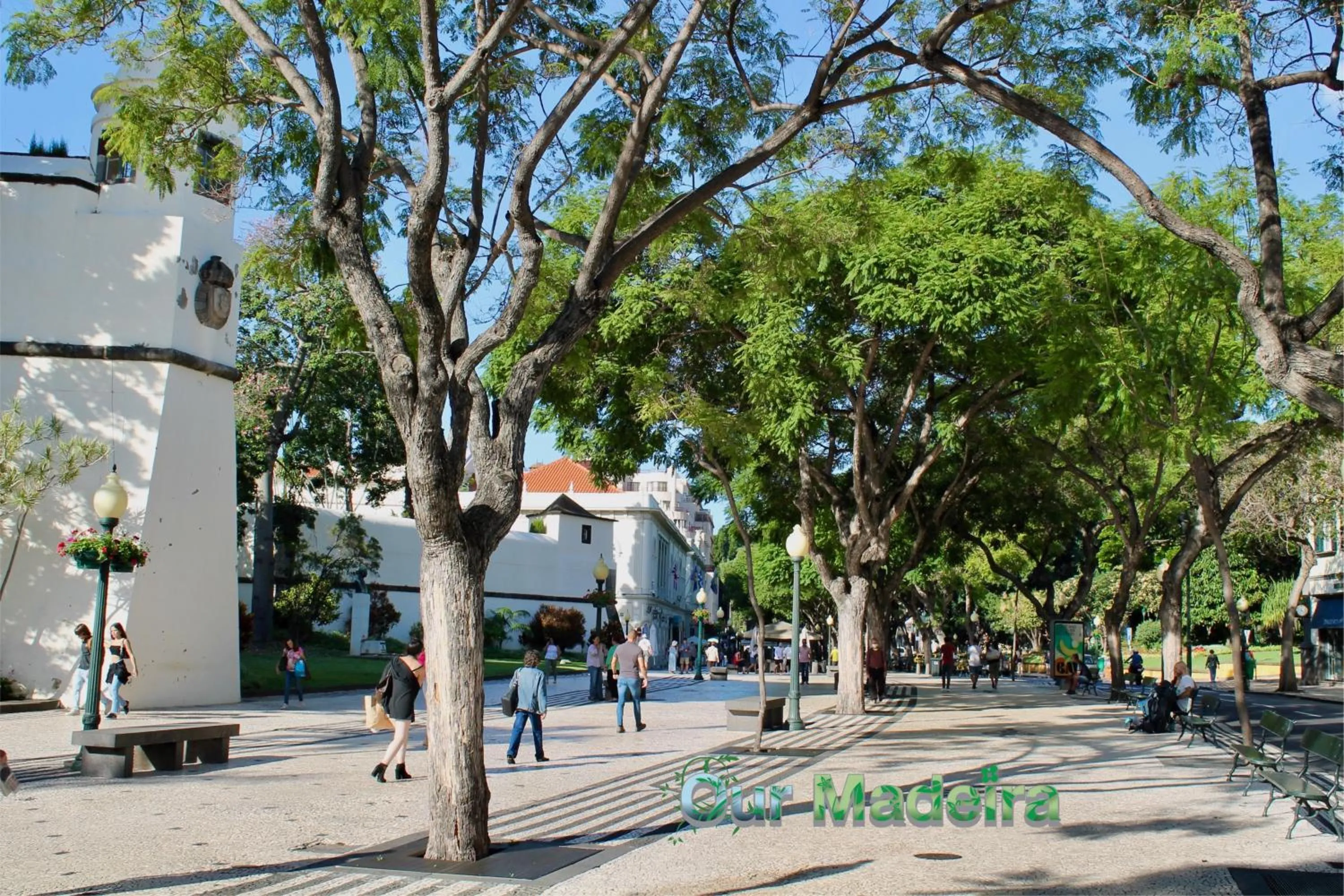 Other in OurMadeira - Heart of Old Town I