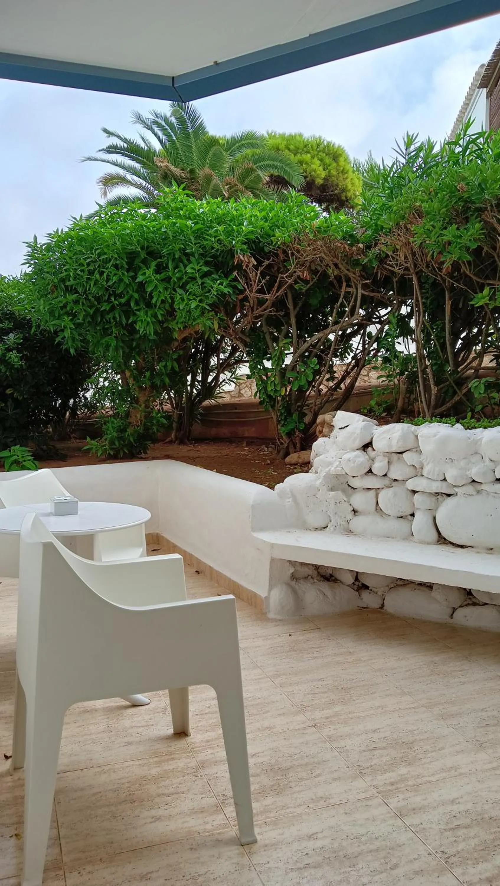 Garden in Hotel Argos Ibiza