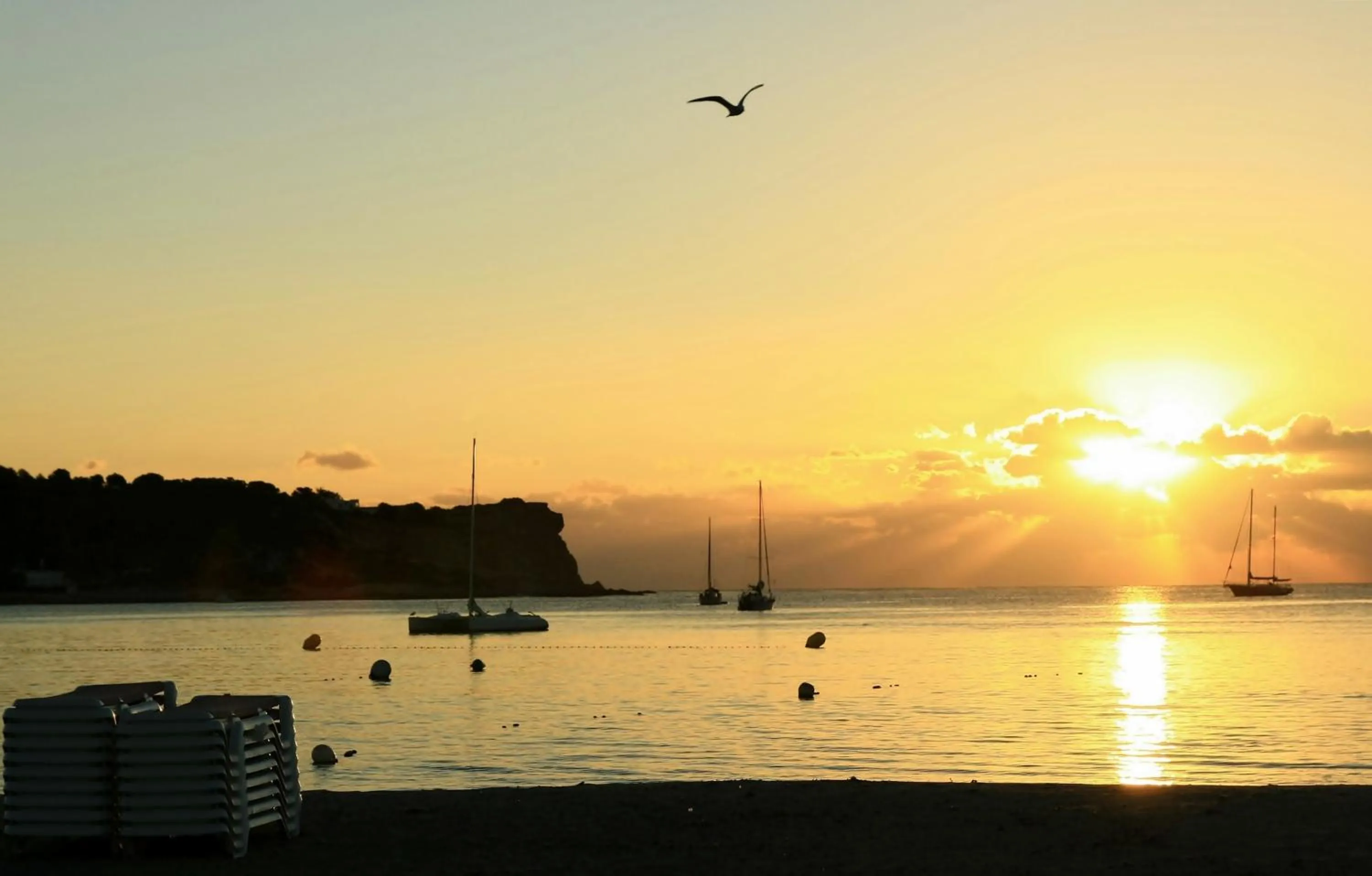 Area and facilities in Hotel Argos Ibiza