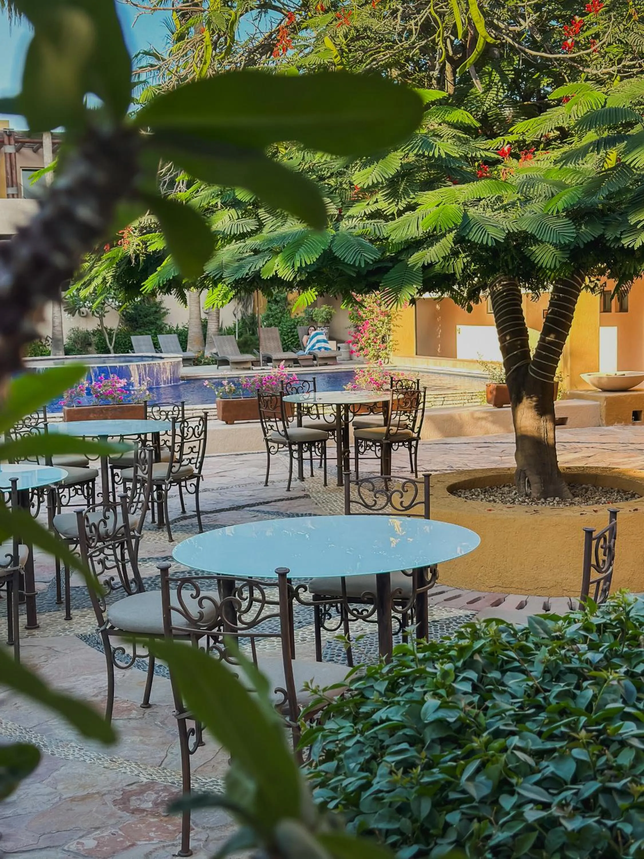 Restaurant/places to eat in Hotel Los Patios