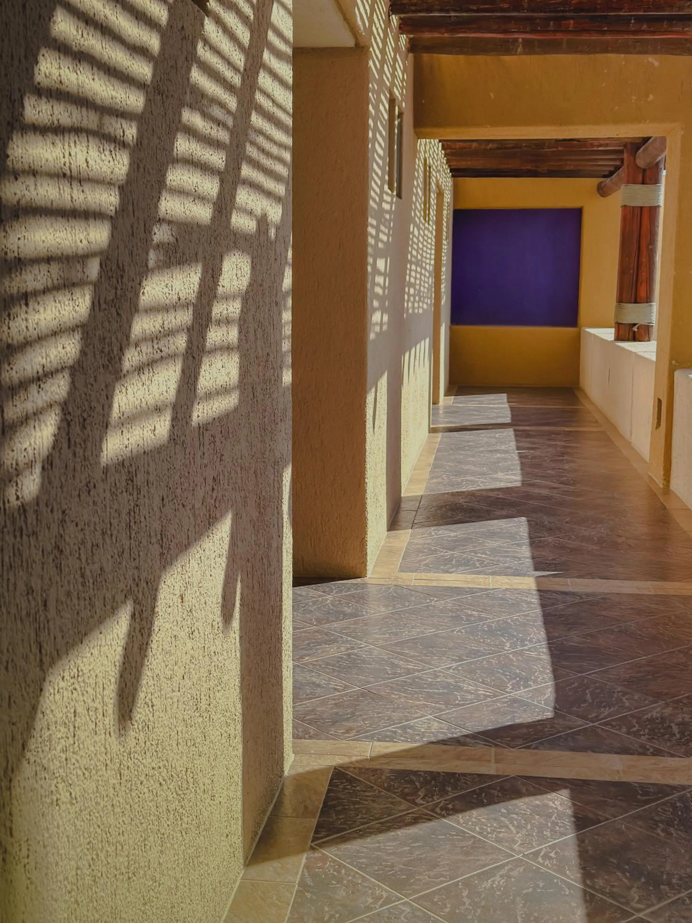 Property building in Hotel Los Patios