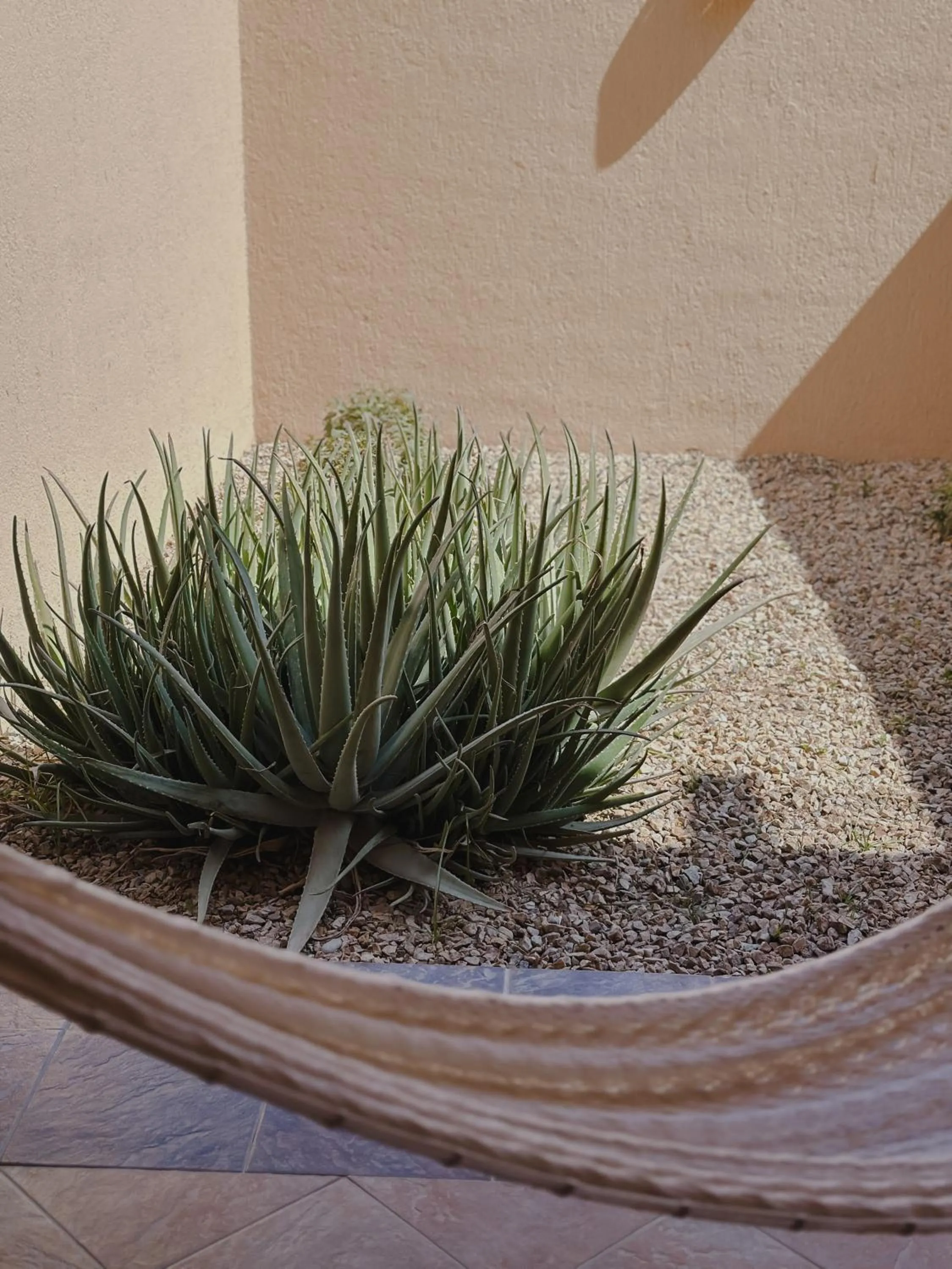 Patio in Hotel Los Patios