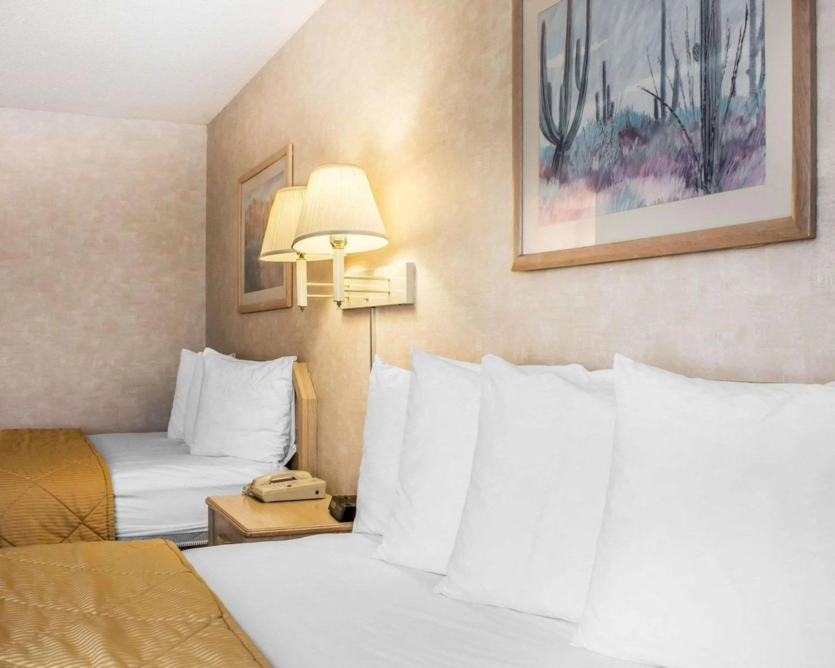 Bedroom, Bed in Quality Inn & Suites Yuma