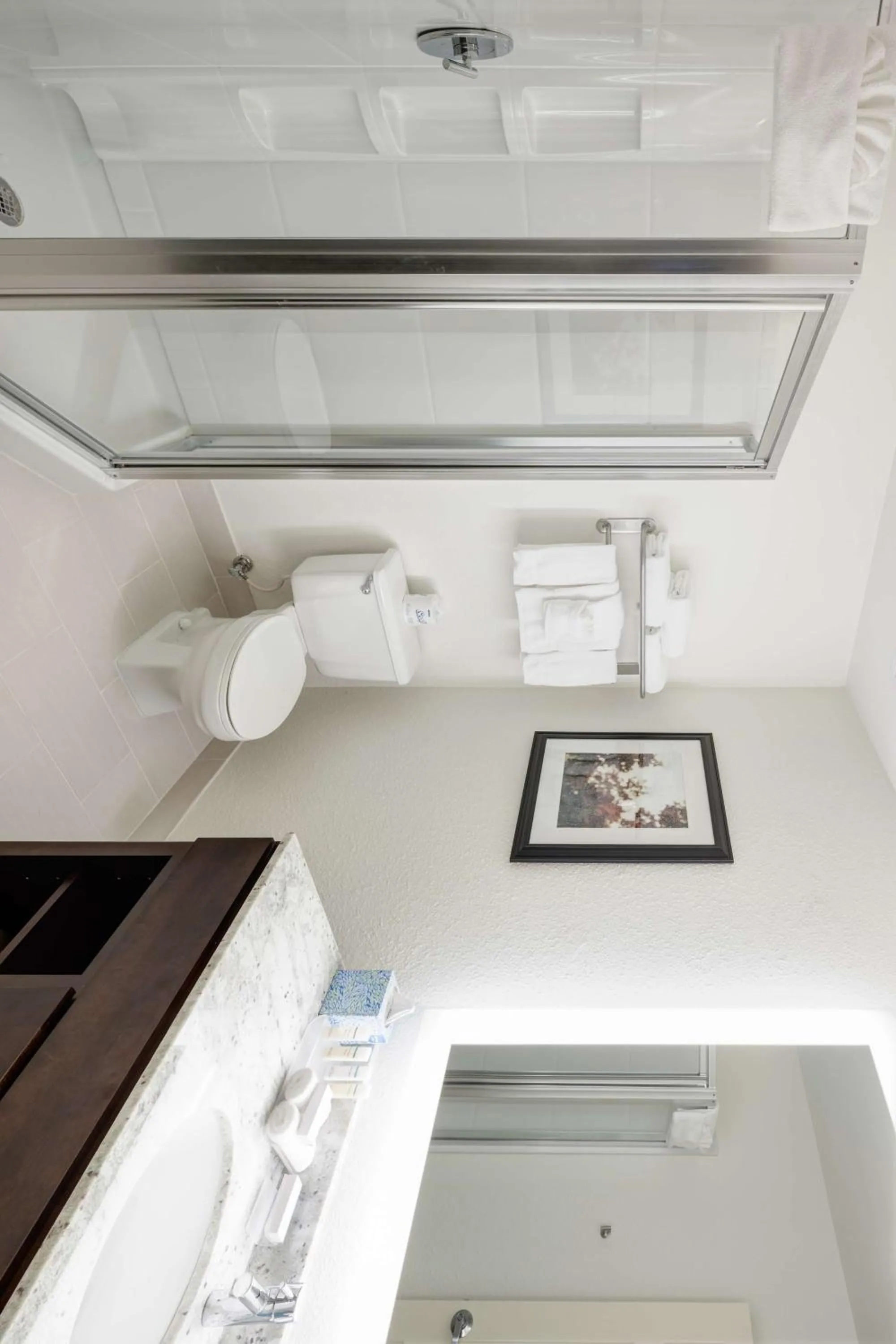 Bathroom in Homewood Suites by Hilton Seattle-Tacoma Airport/Tukwila