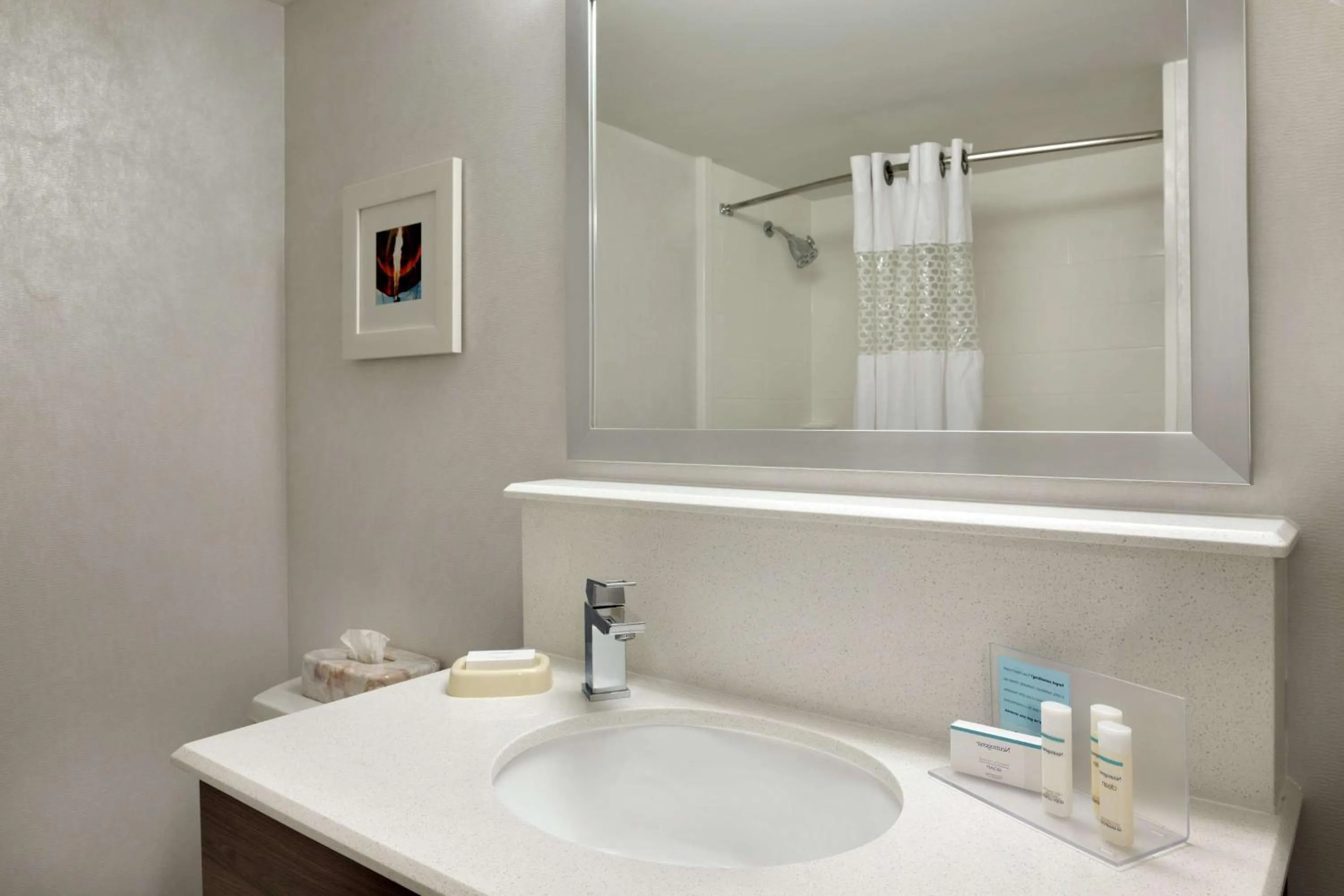 Bathroom in Hampton Inn Philadelphia/Mt. Laurel