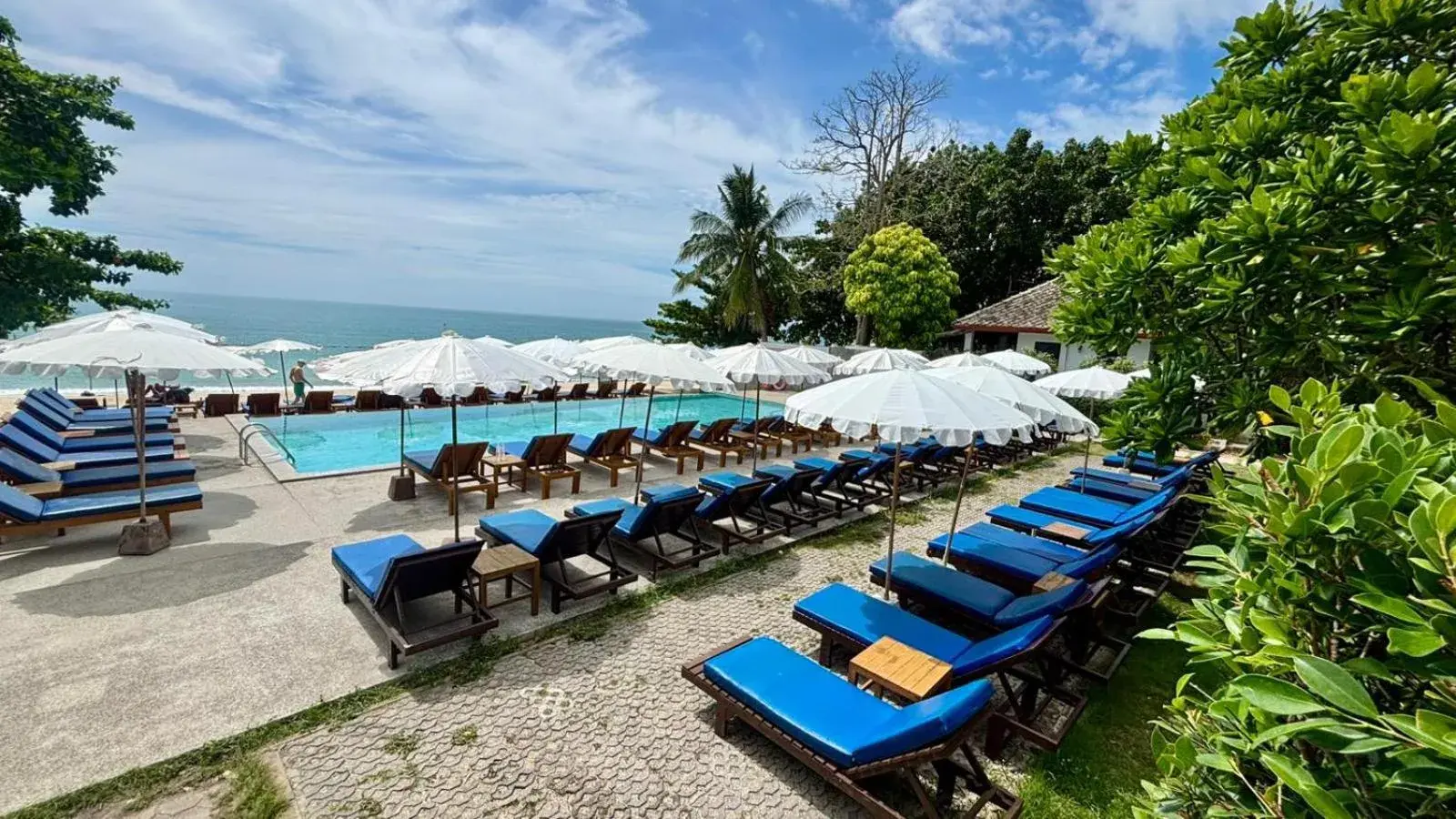Swimming pool in The Hive Hotel Swimming pool in The Hive Hotel