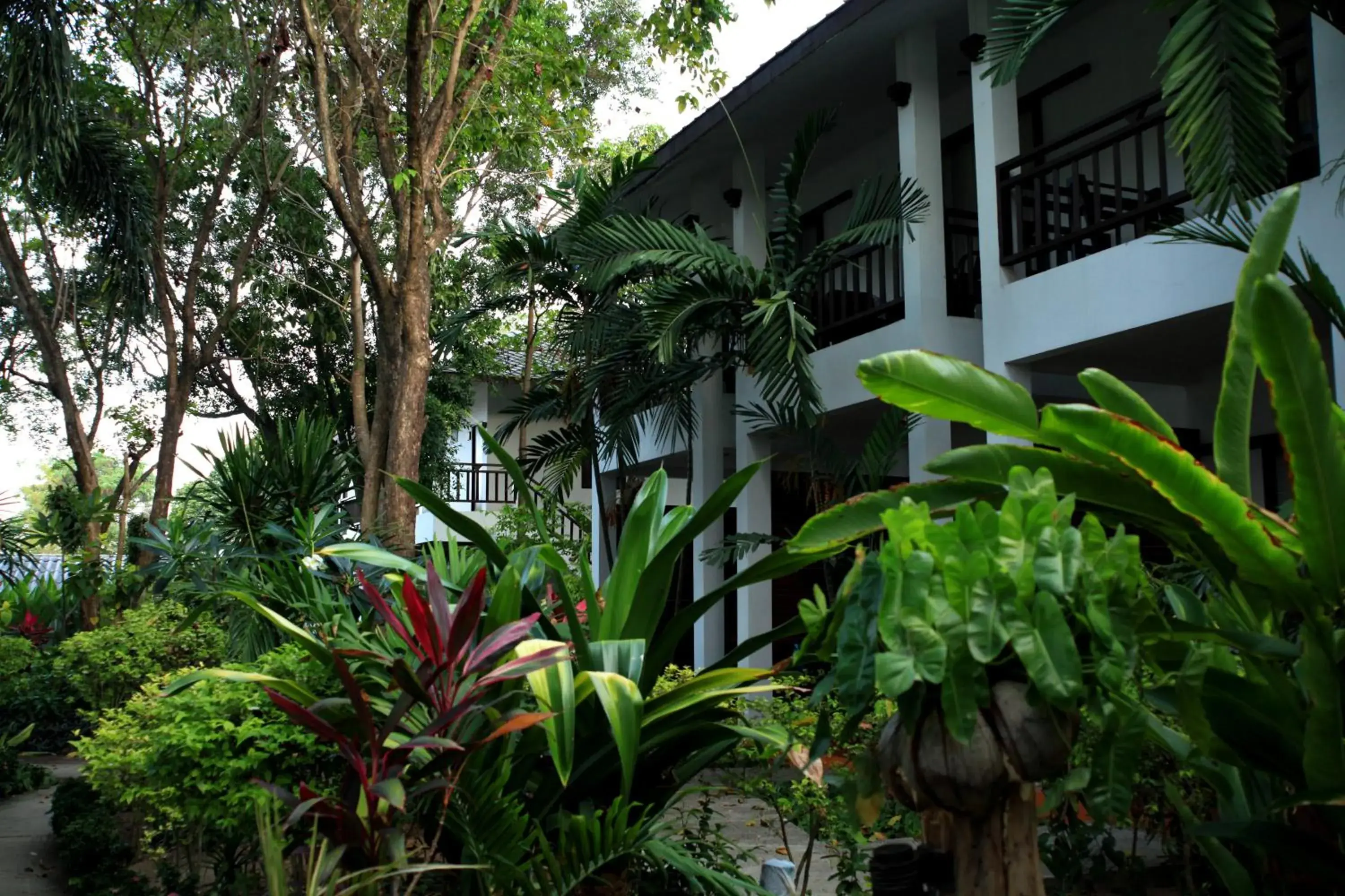 View (from property/room) in The Hive Hotel View (from property/room) in The Hive Hotel